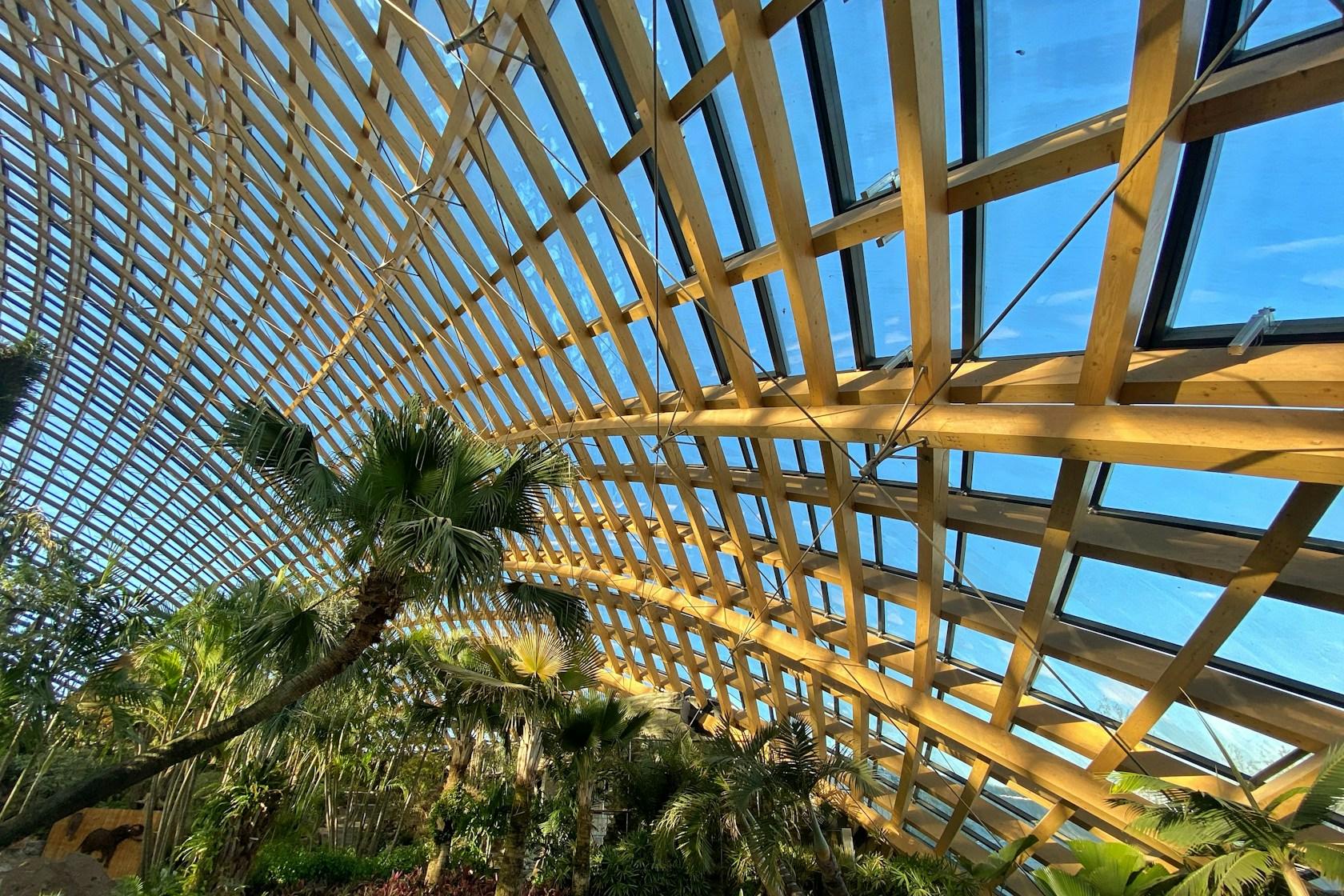 Taiyuan Botanical Garden - image 9