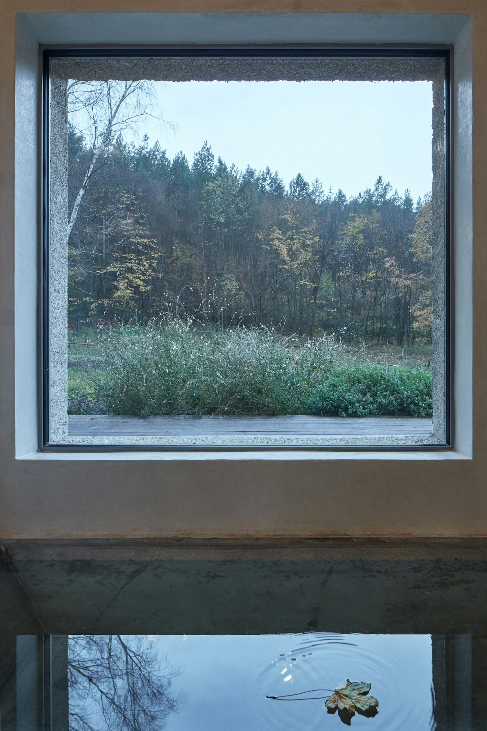 House LO - image 18