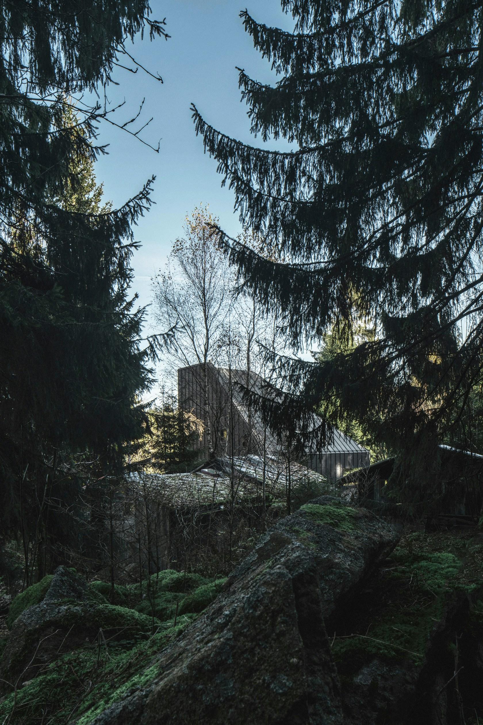 Weekend House Nové Hamry - image 5