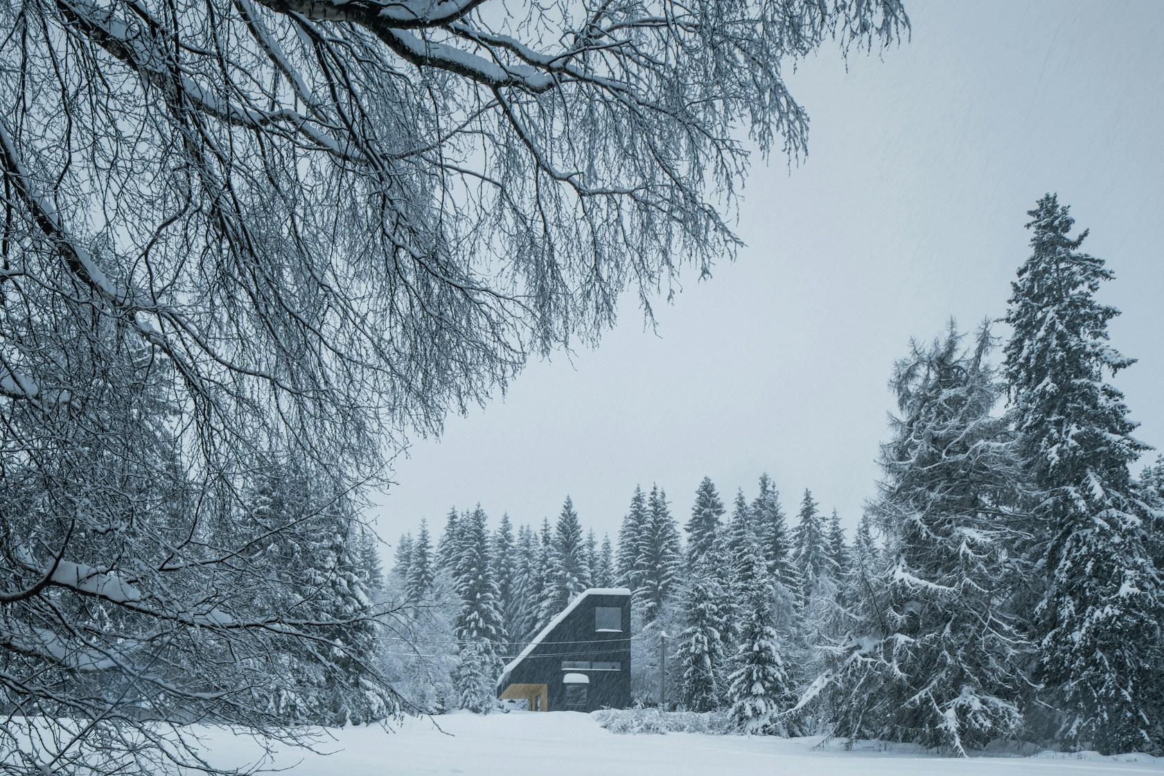 Weekend House Nové Hamry - image 12