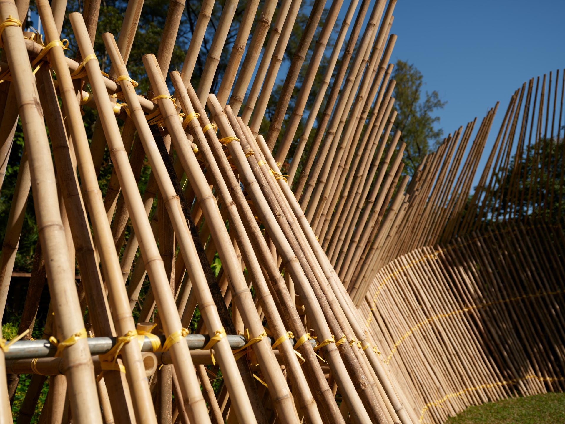 Chasing Sounds - image 13