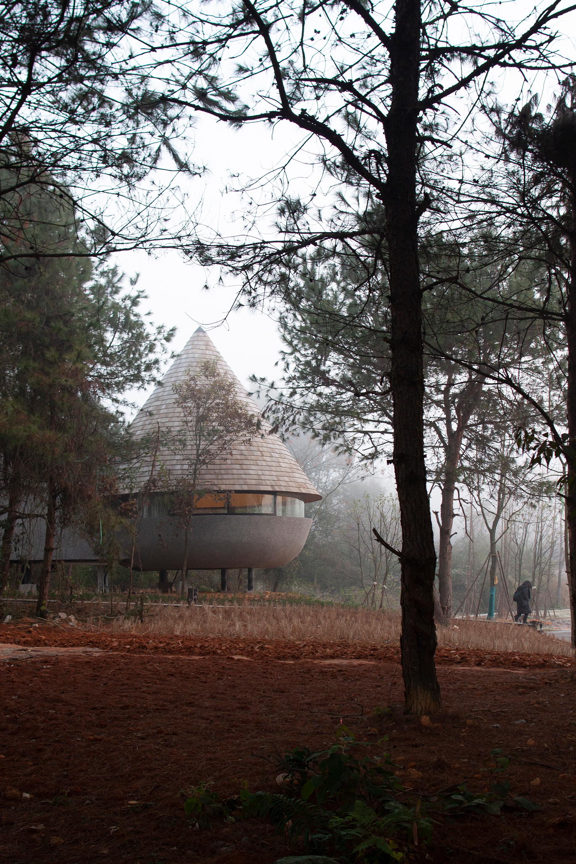 The Mushroom - a wood house in the forest - image 2