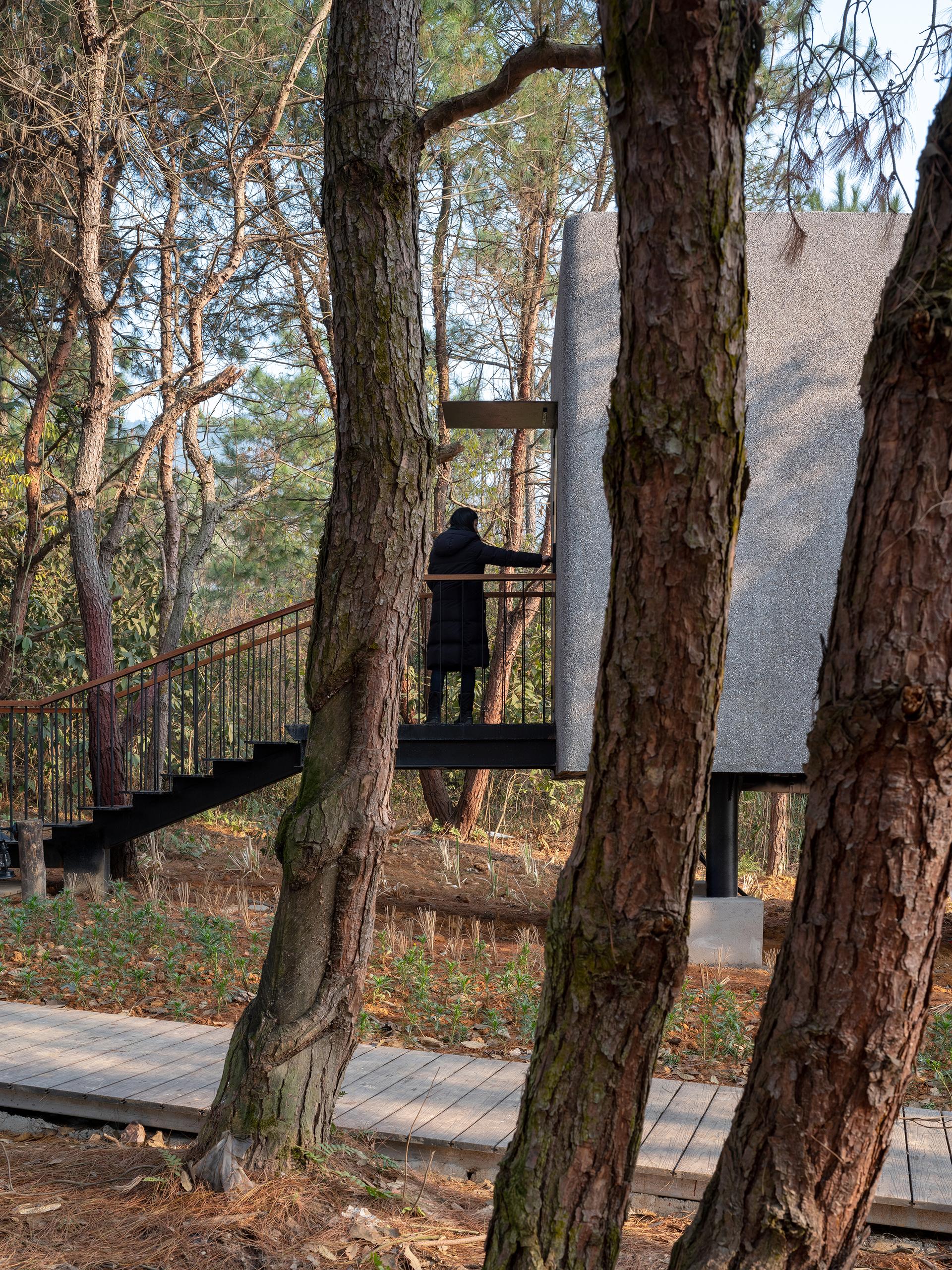 The Mushroom - a wood house in the forest - image 7