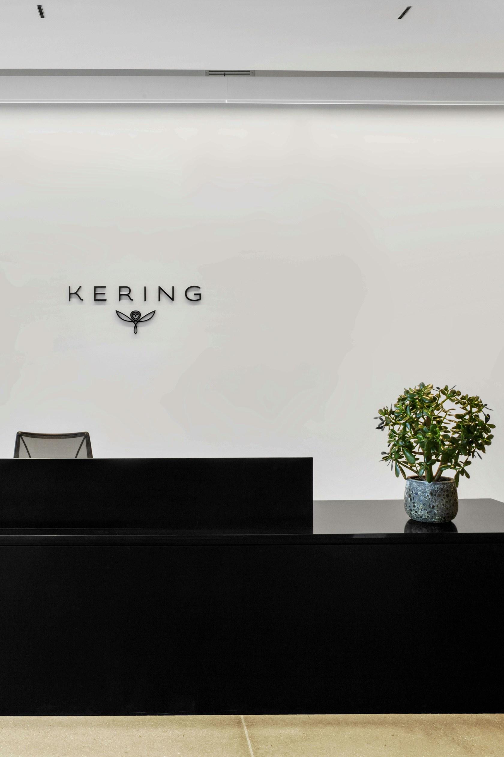 Kering Americas - image 3