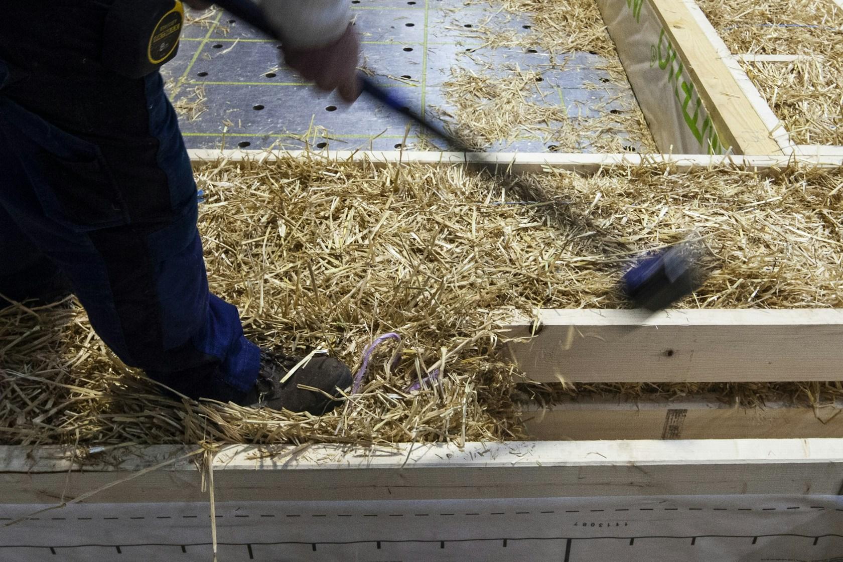 Transformation of an office building into a wood and straw 139 student rooms - image 13