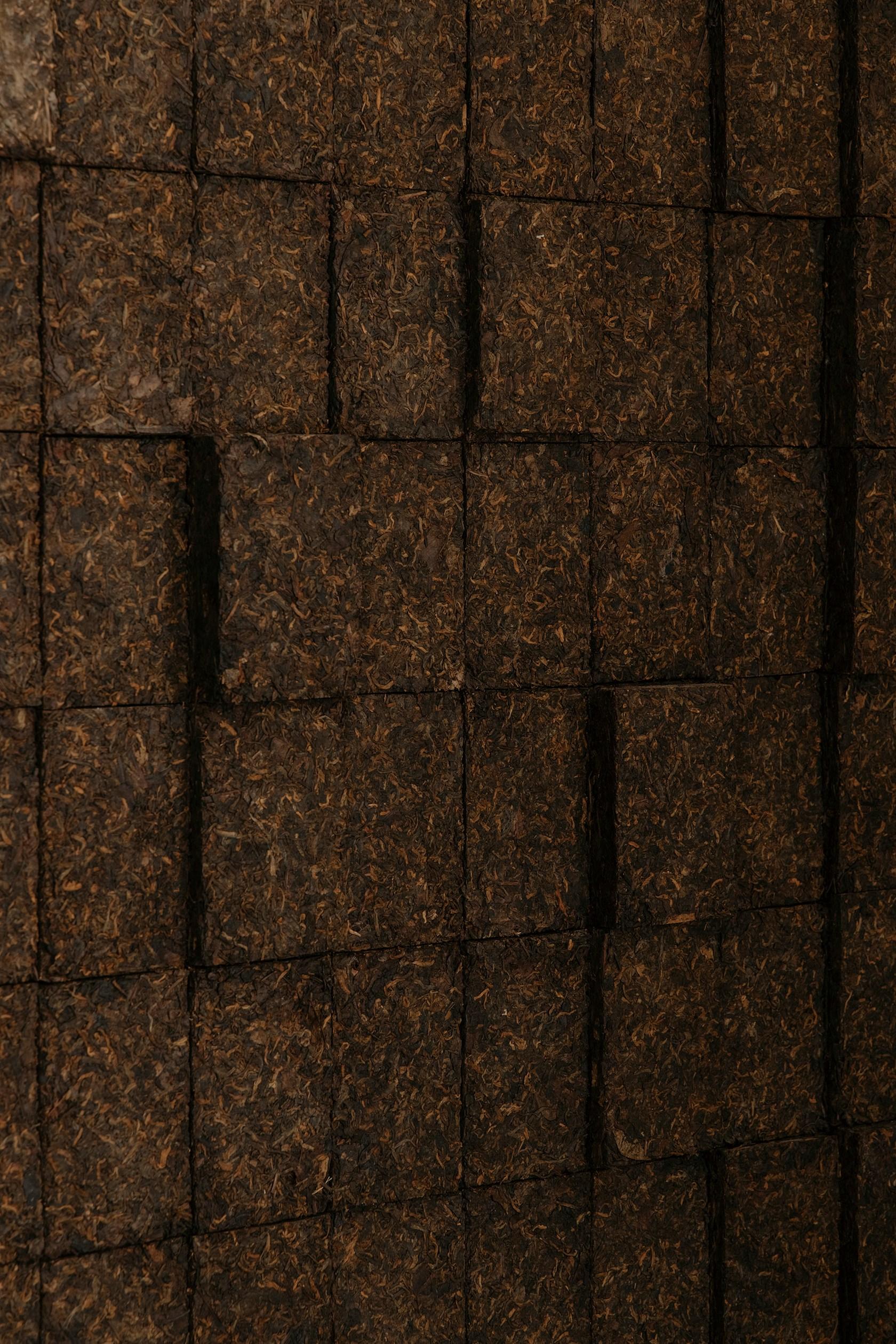 Restaurant Lunar - image 10