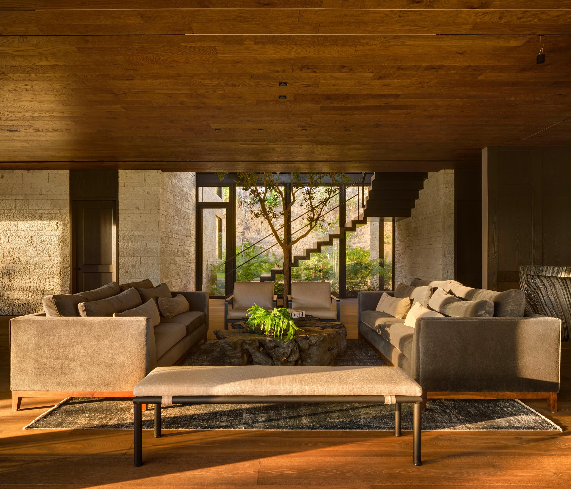 Ochre House - image 7
