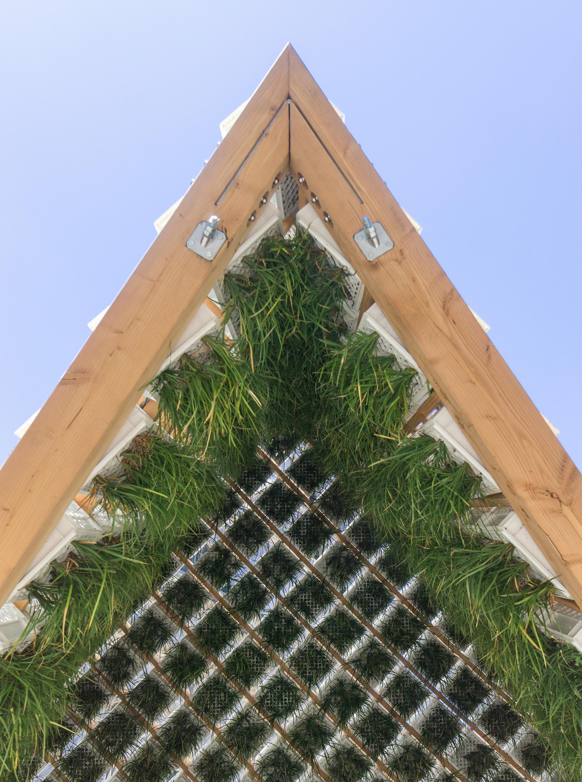 Living Pavilion - image 9