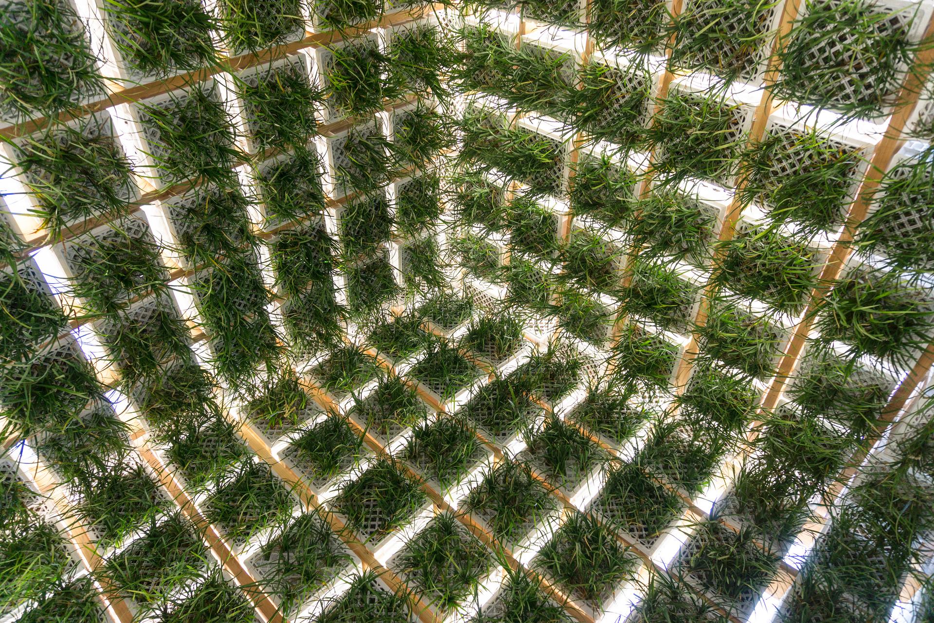 Living Pavilion - image 7