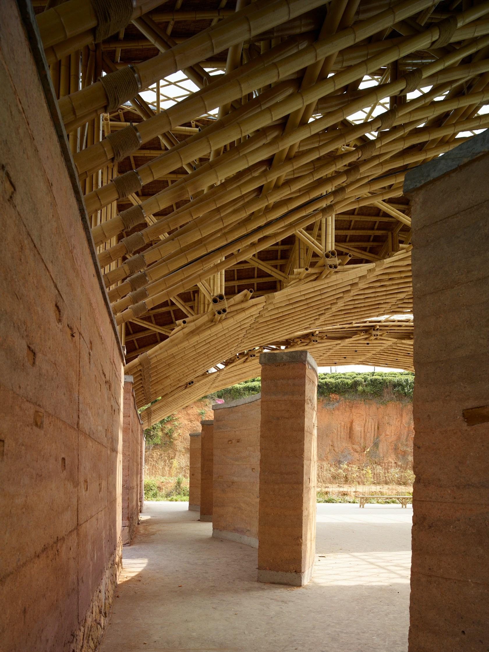 Tea Leaf Market of Zhuguanlong - image 13
