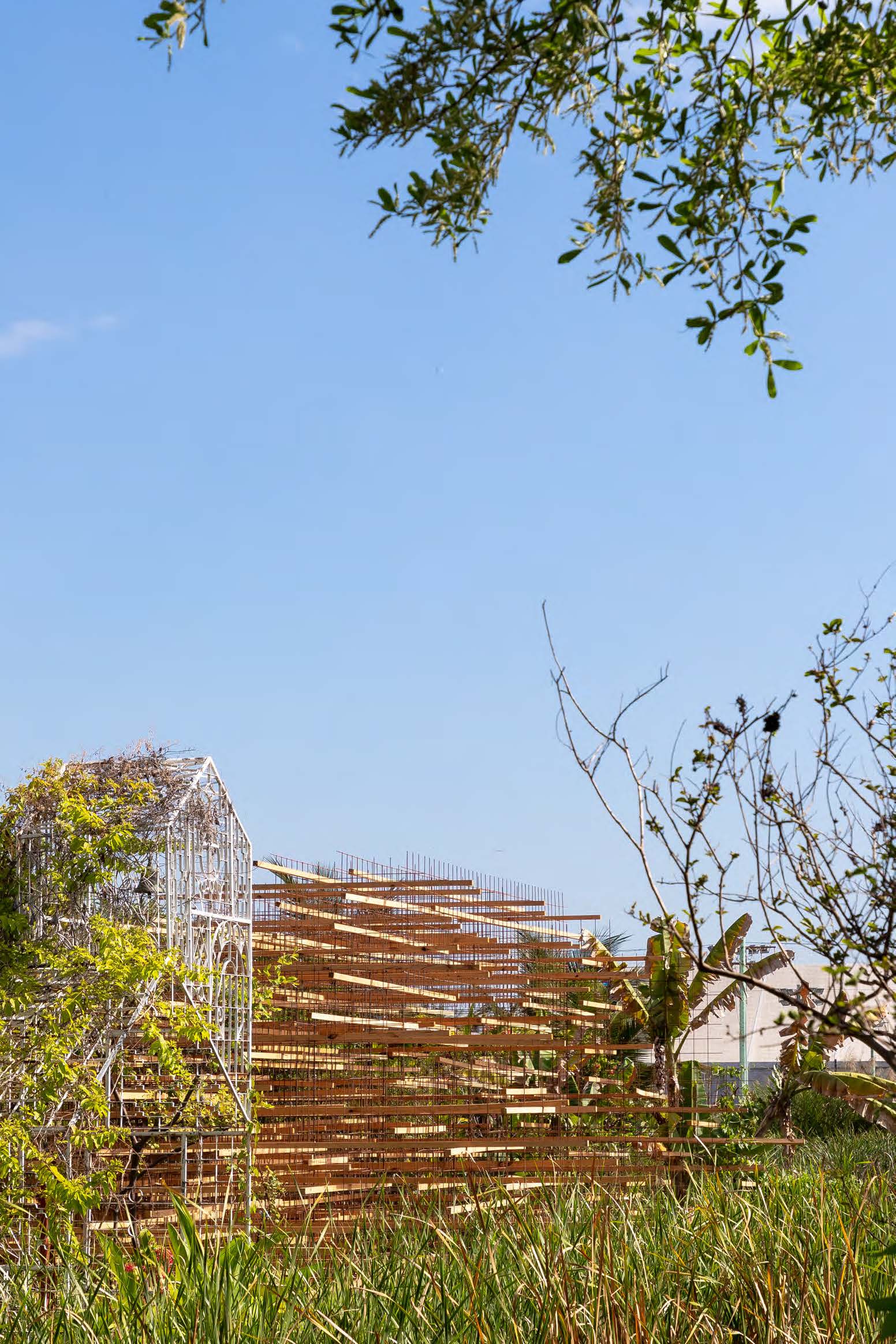 The Straw - image 9