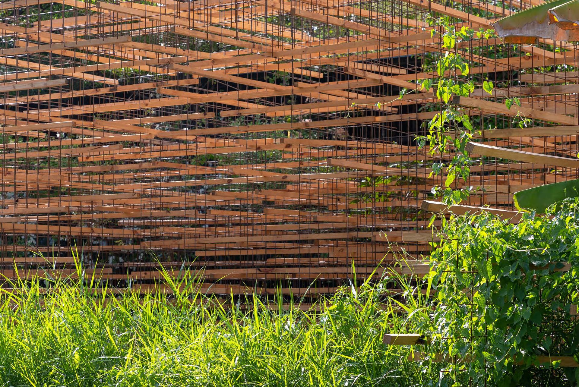 The Straw - image 10