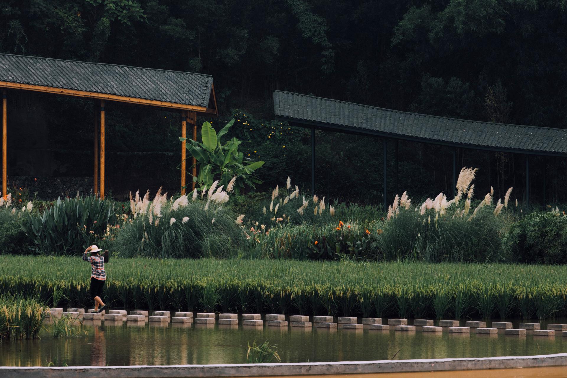 Bamboo Branch Academy - image 6