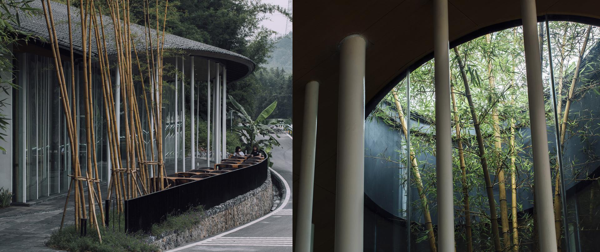 Bamboo Branch Academy - image 14