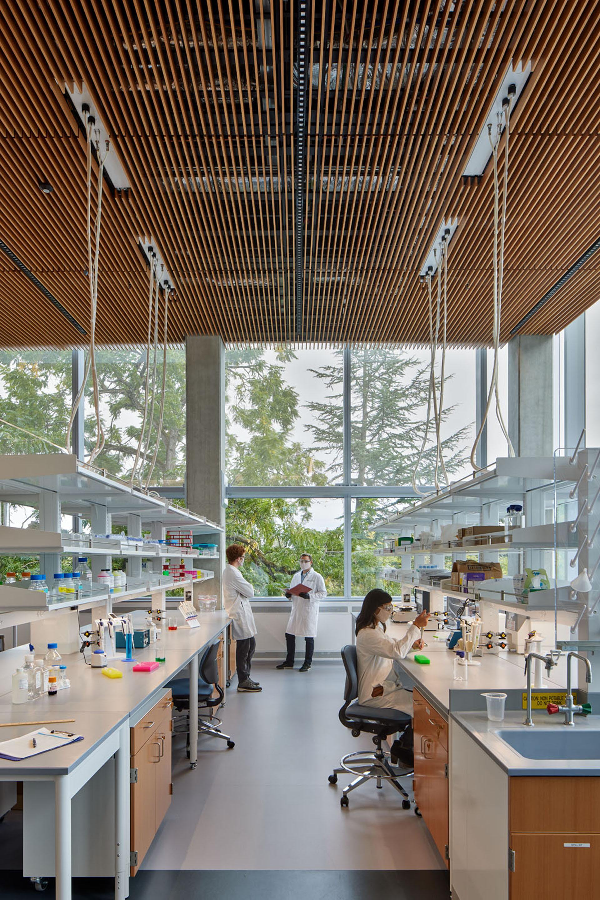Phil and Penny Knight Campus for Accelerating Scientific Impact at University of Oregon - image 13