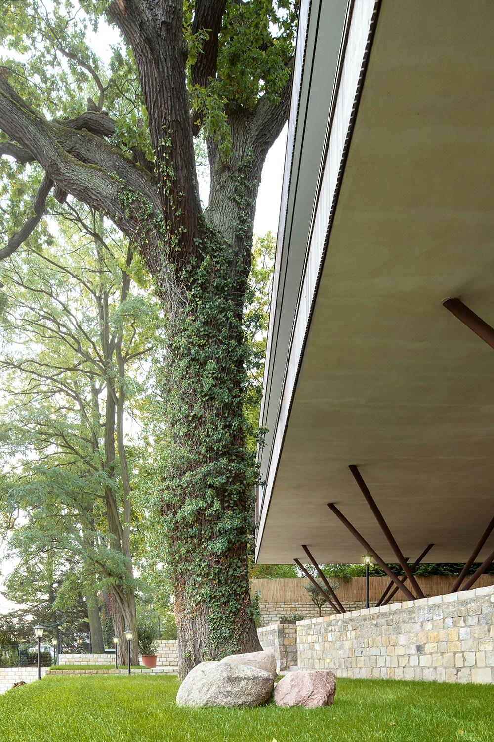 Haus am See - image 6