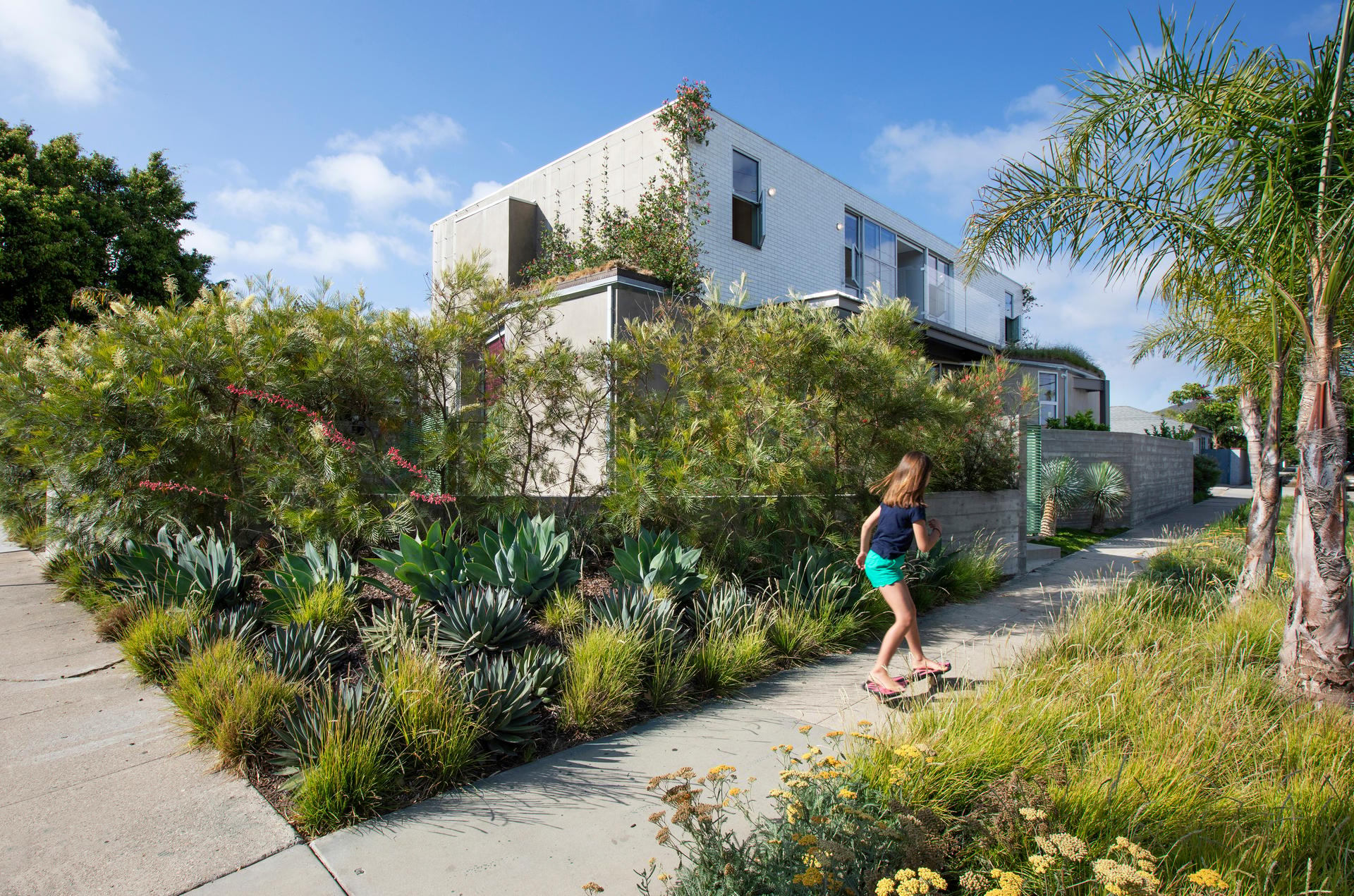 Urban Pastoral House - image 2
