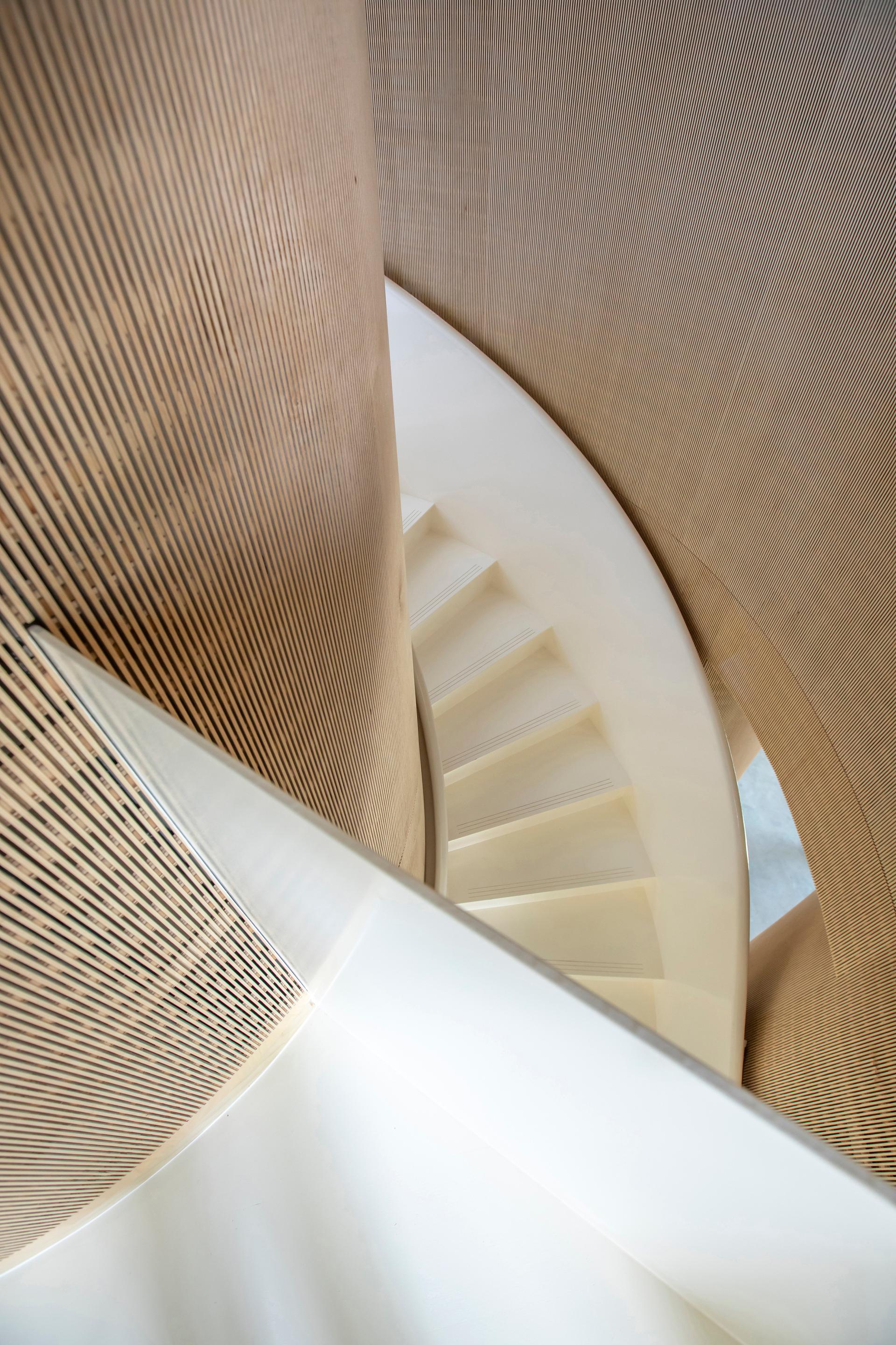 Urban Pastoral House - image 14