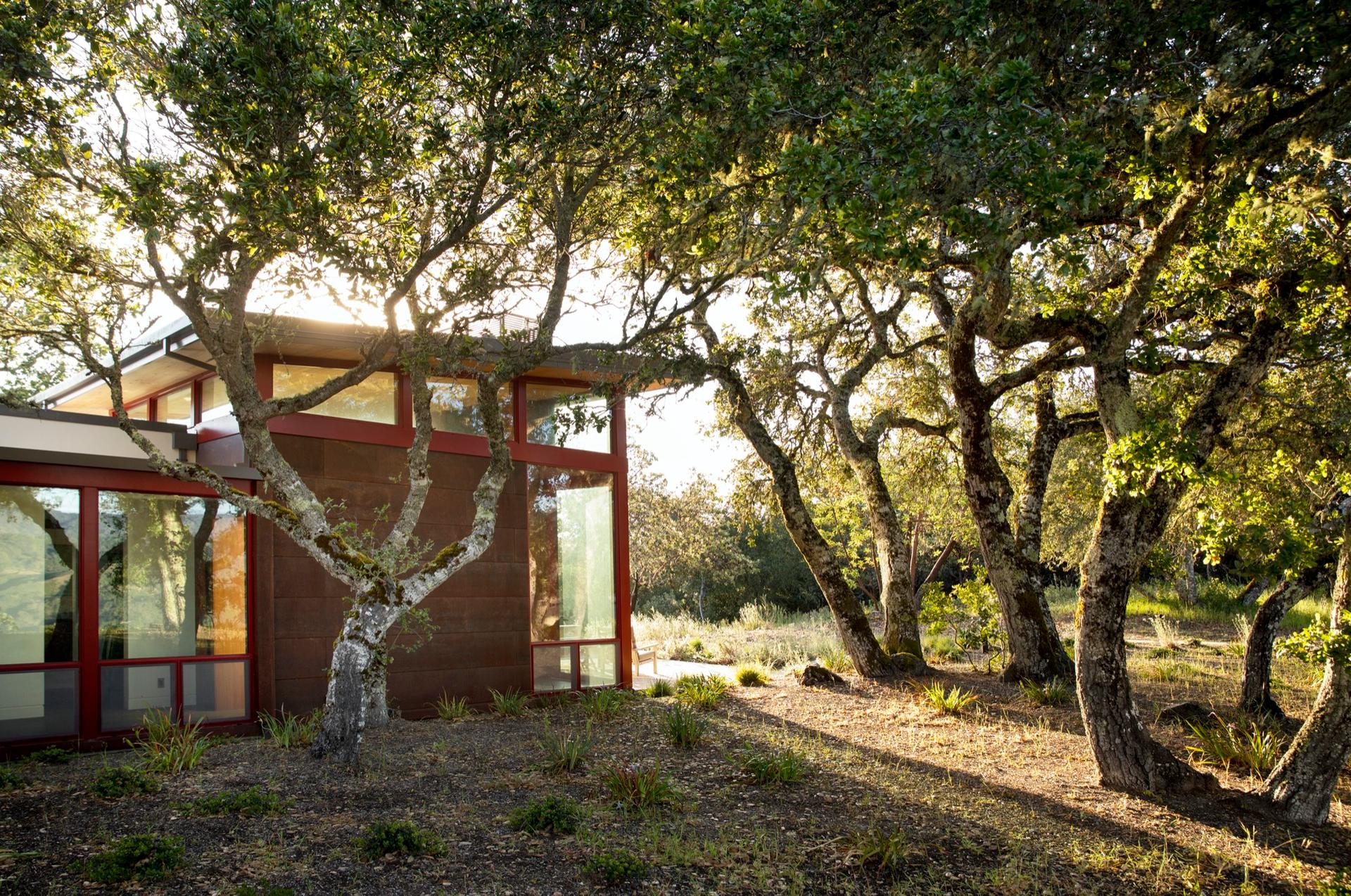 Taronga - image 13