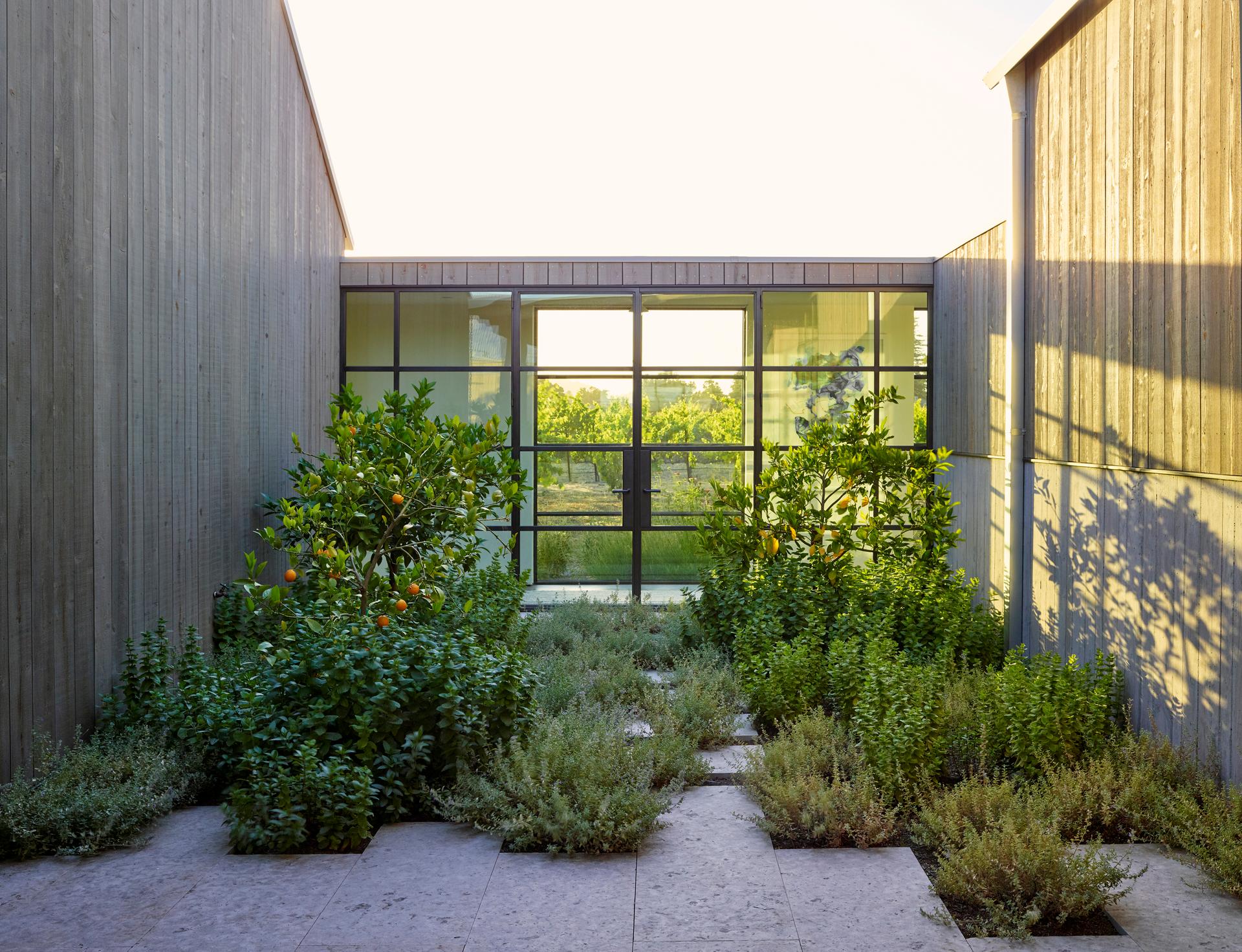 Zinfandel Lane - image 6