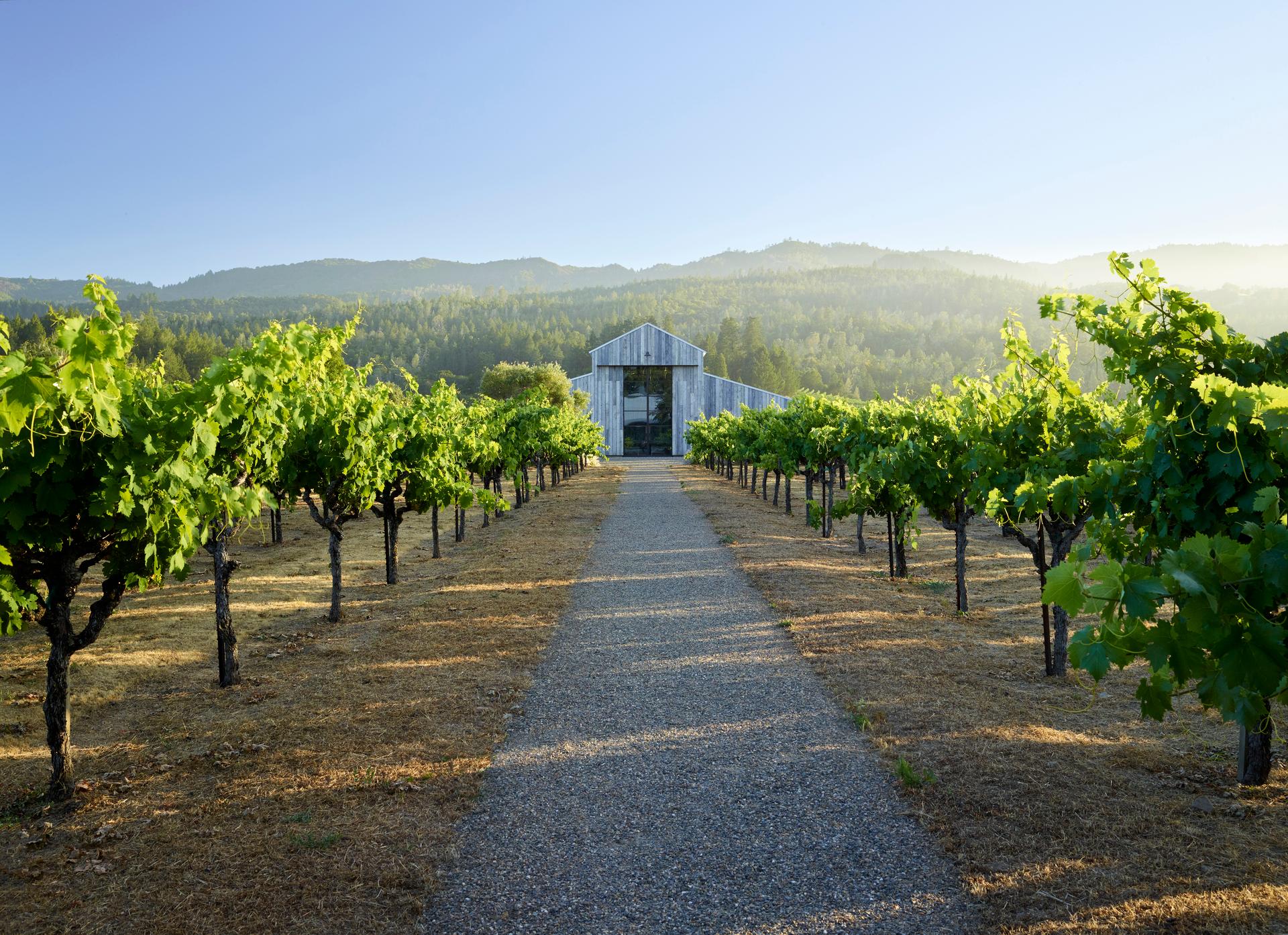 Zinfandel Lane - image 9