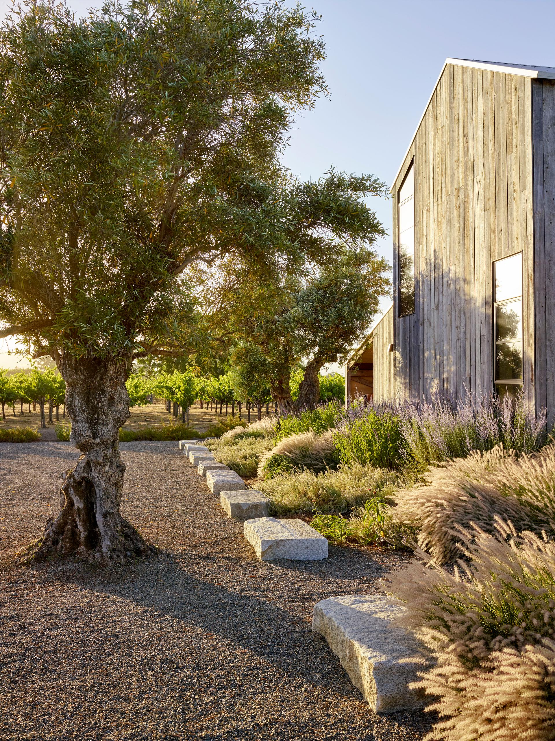 Zinfandel Lane - image 10