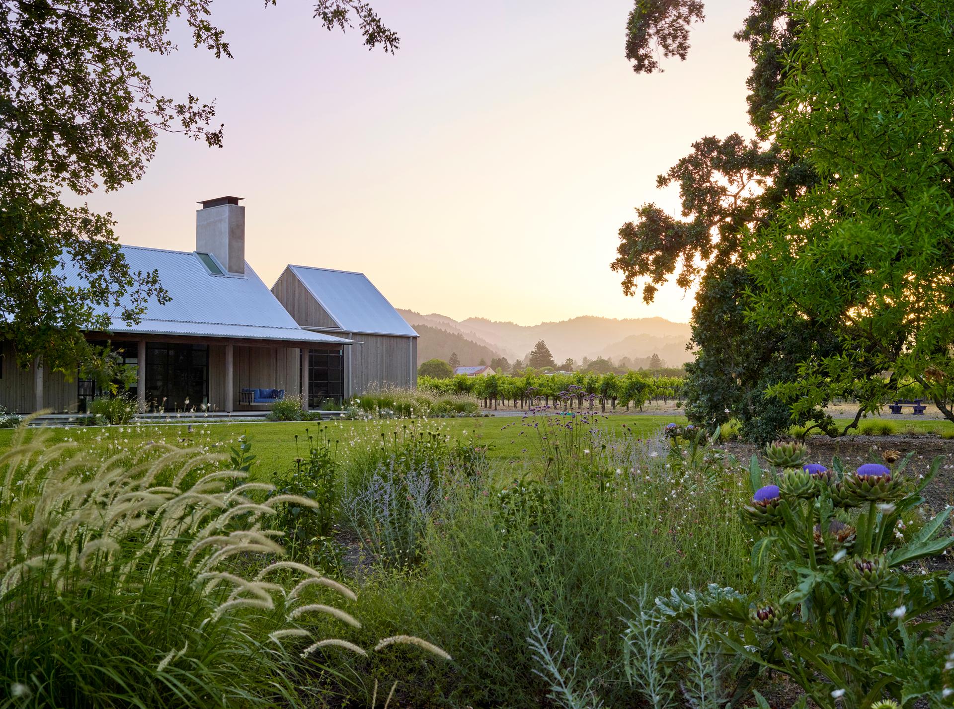 Zinfandel Lane - image 11