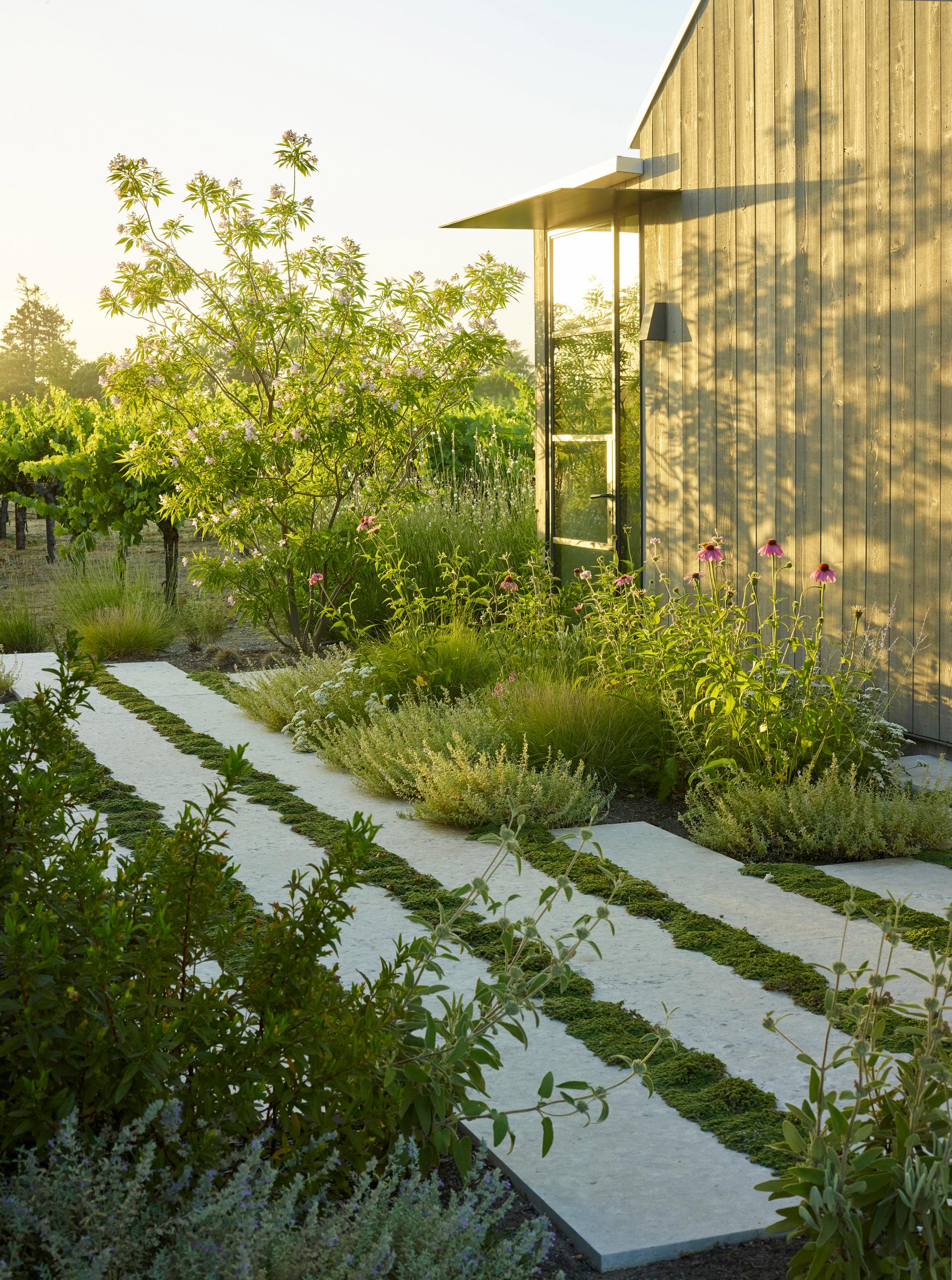 Zinfandel Lane - image 12