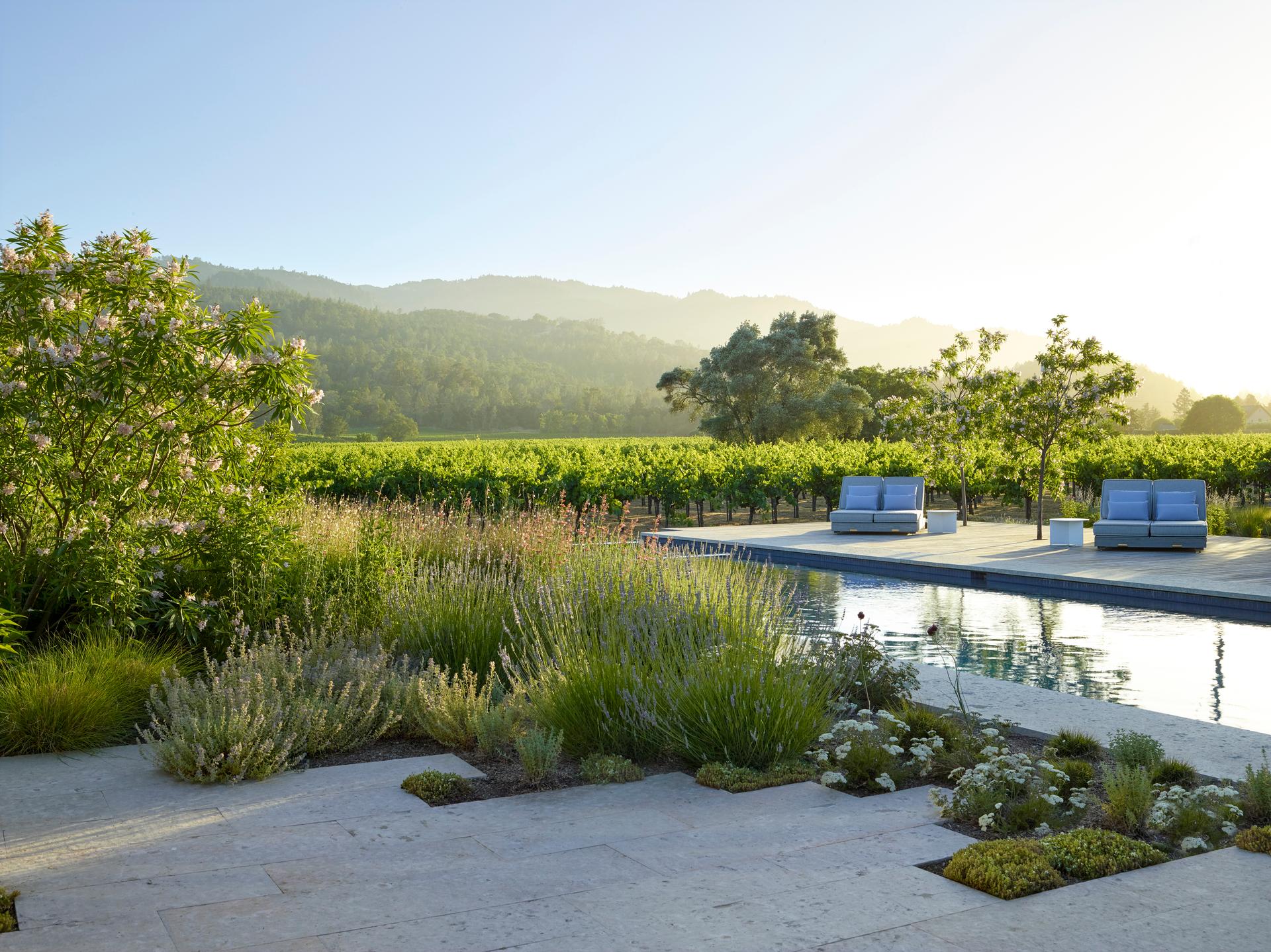 Zinfandel Lane - image 2