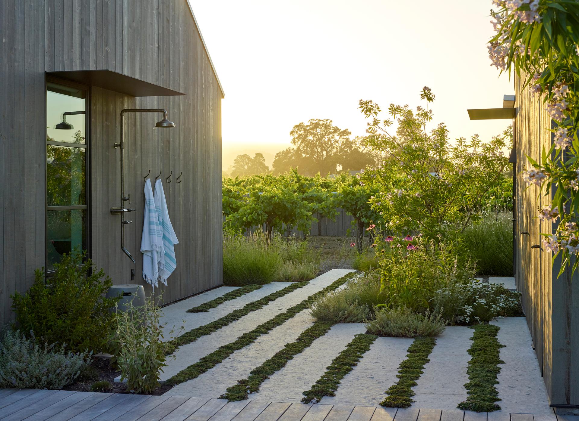 Zinfandel Lane - image 5