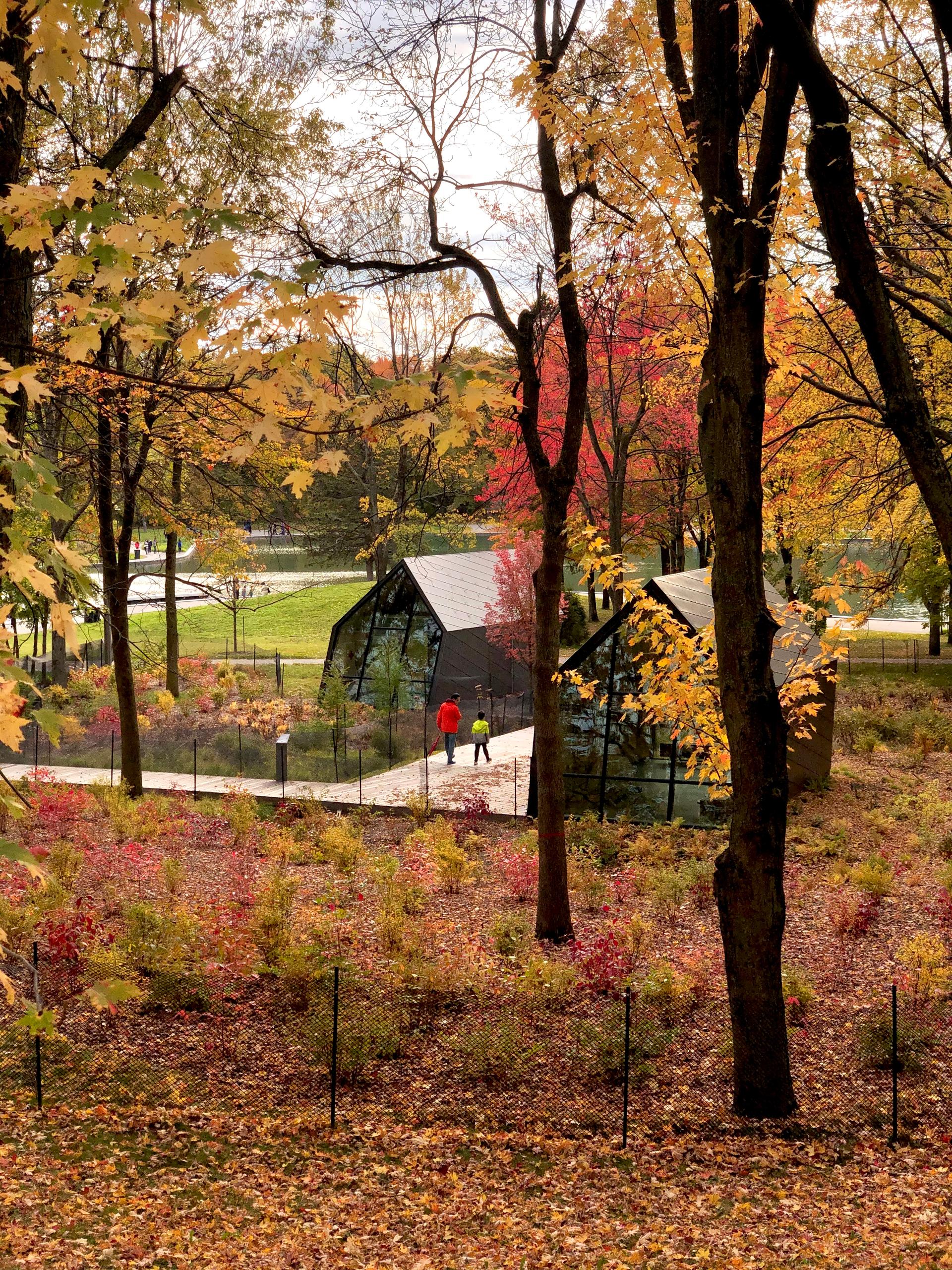 Beaver Lake Kiosks, Montreal - image 7