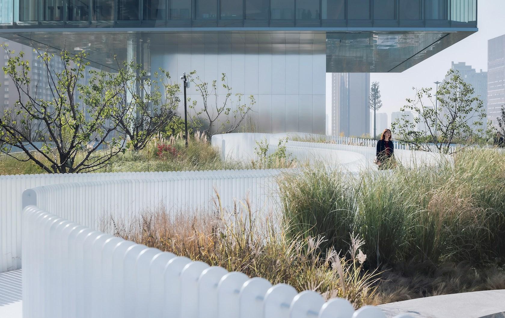 Ribbon Dance Park : Landscape Placemaking for Public - image 22