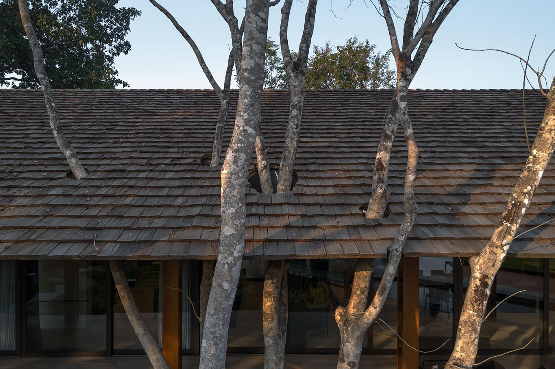 Terraced House: The Chiang Rai Residence - image 10