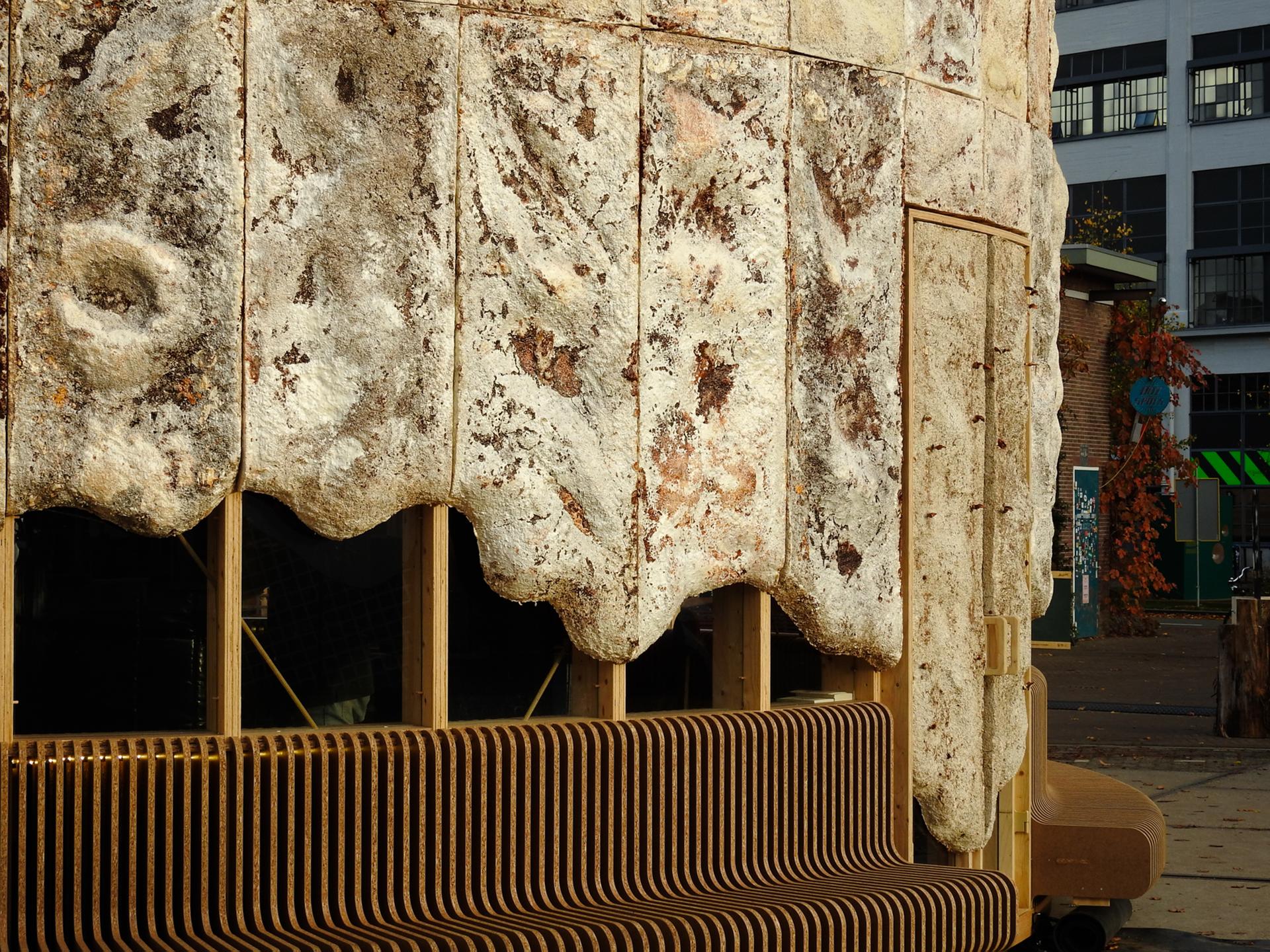The Growing Pavilion - image 4