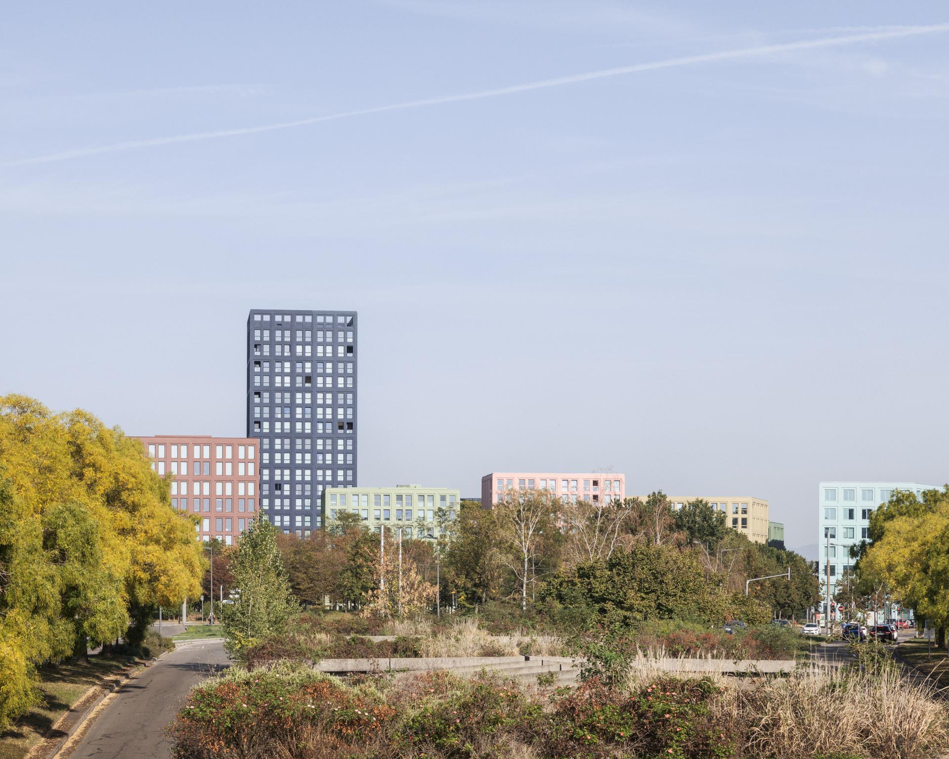 NOLISTRA - image 3