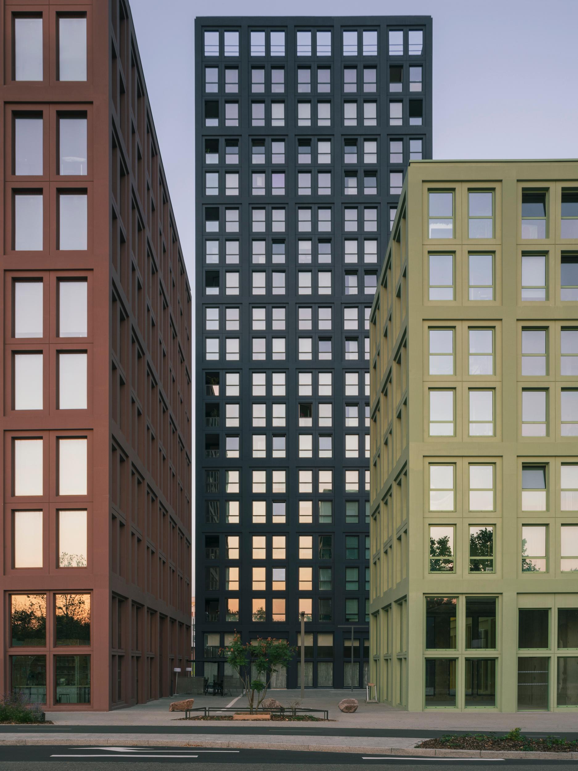 NOLISTRA - image 7