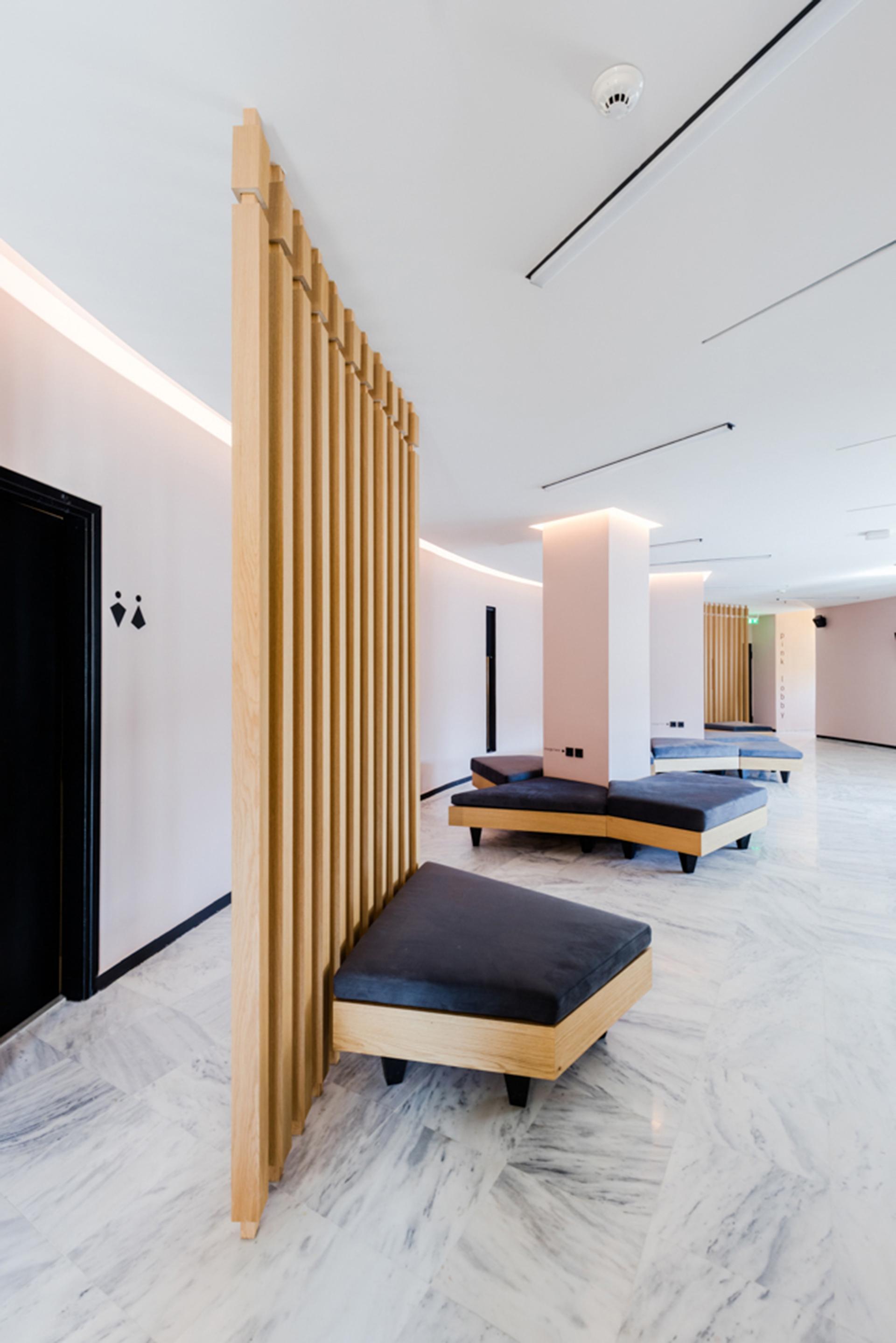 Technopolis Auditorium: an acoustic device - image 22