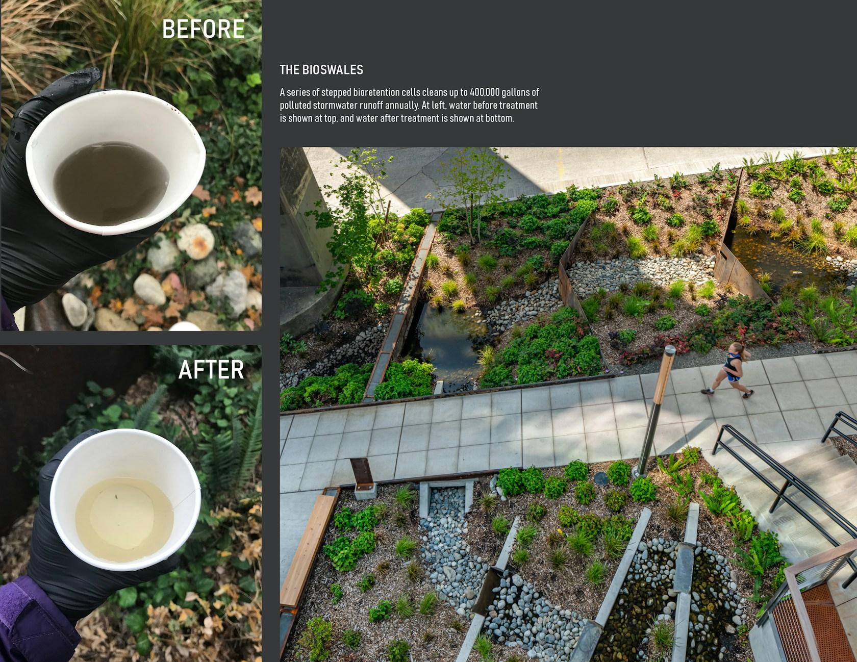 Watershed - image 4