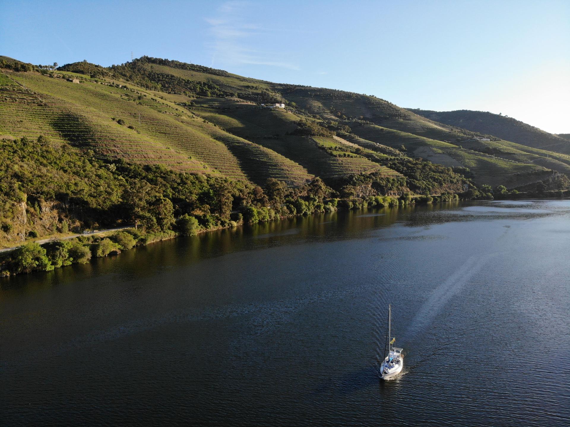 Quinta de Santo António Hotel & Winery - image 3