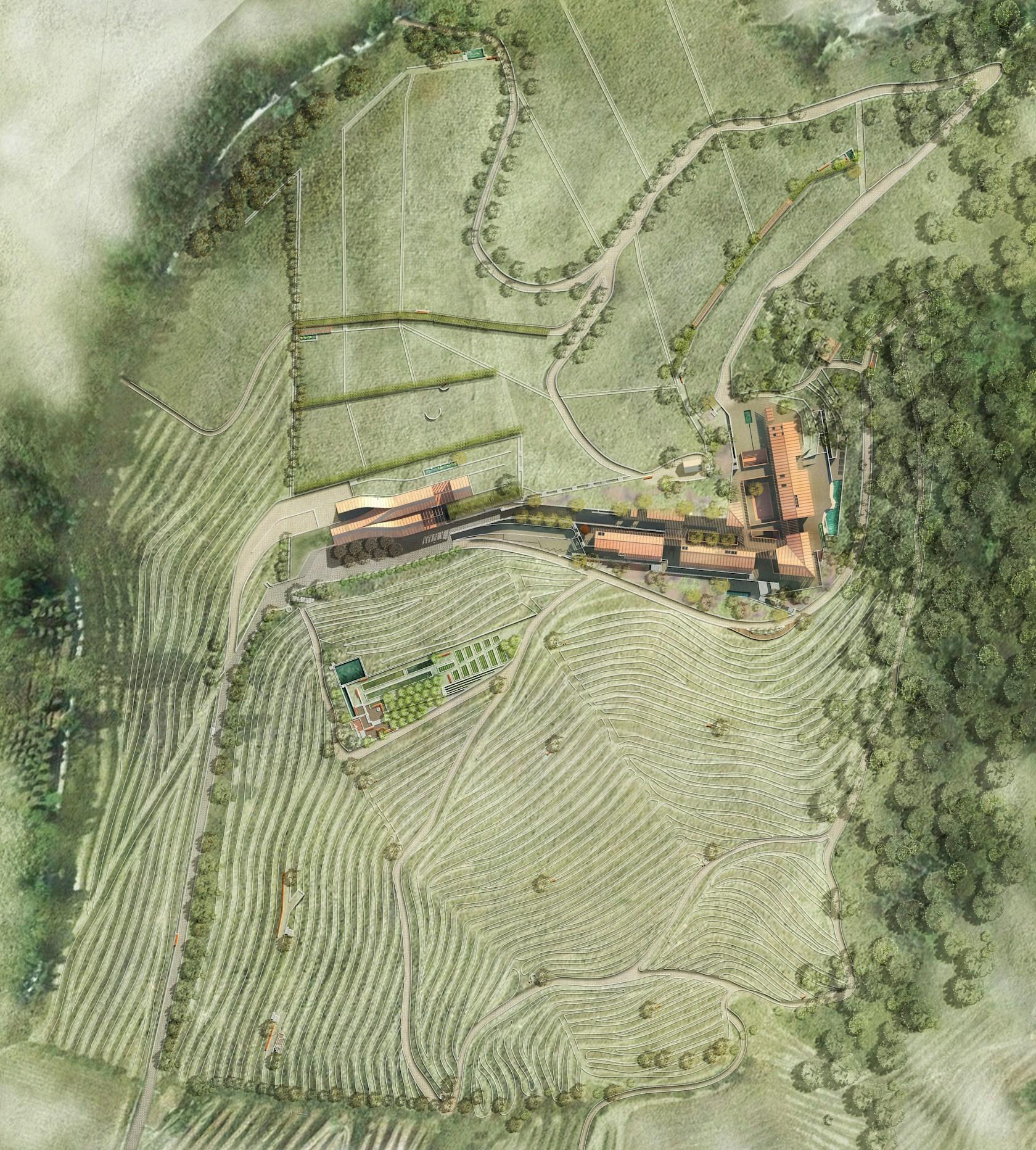 Quinta de Santo António Hotel & Winery - image 19