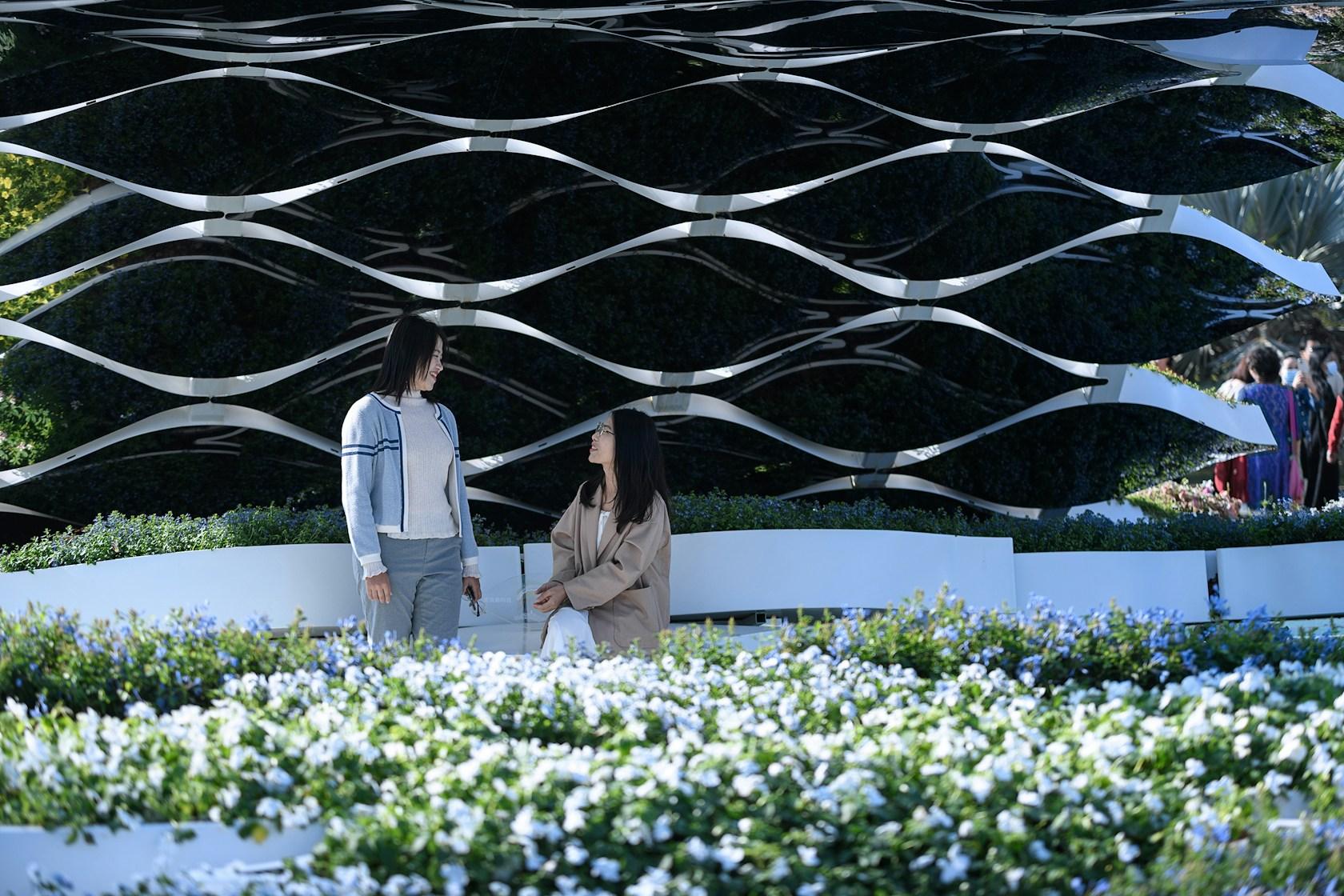 The Wave - image 12