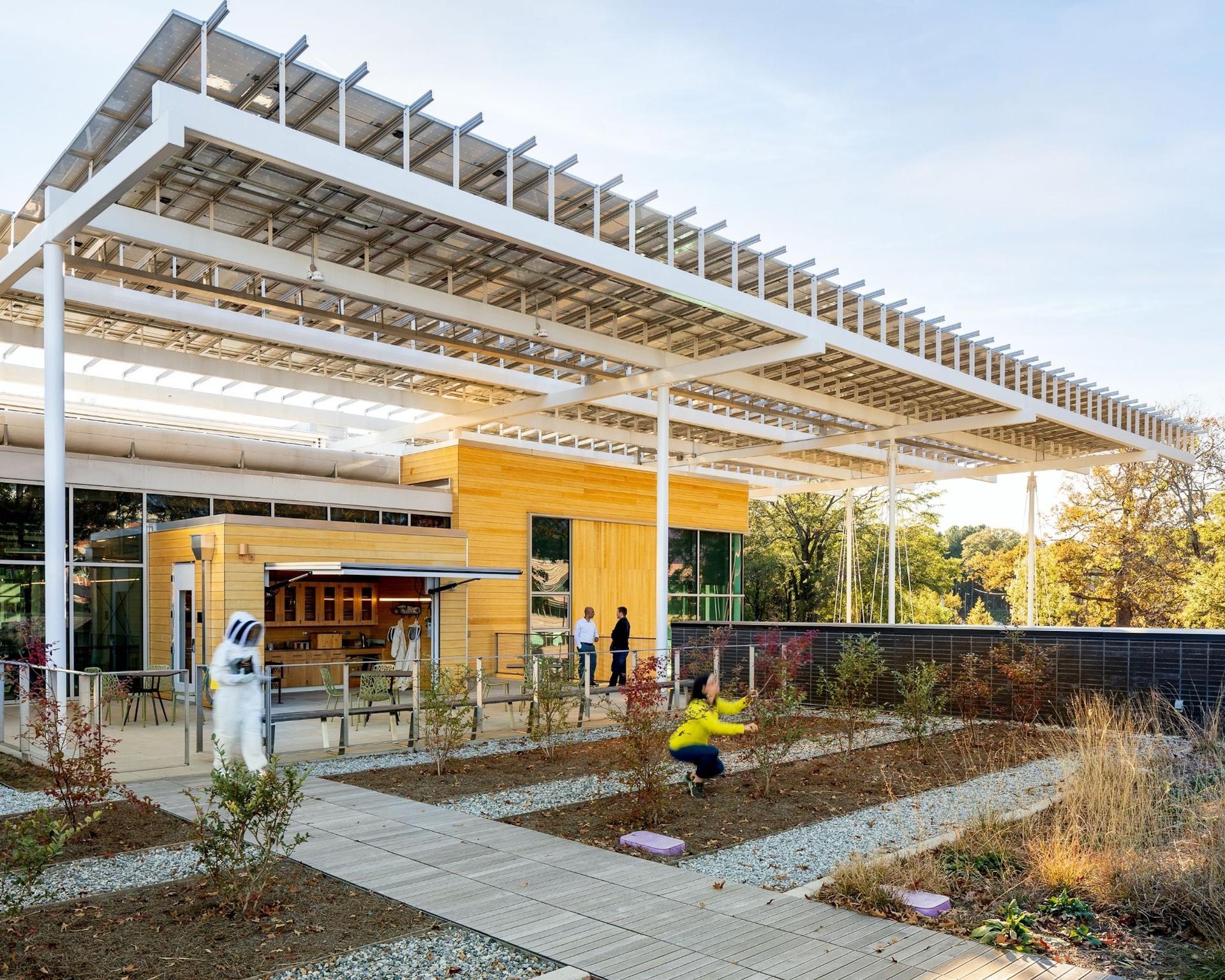 The Kendeda Building for Innovative Sustainable Design - image 9