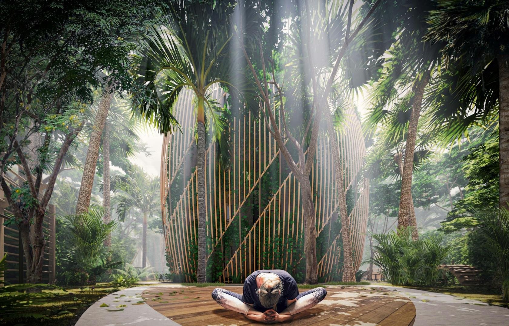Living The Noom - image 9