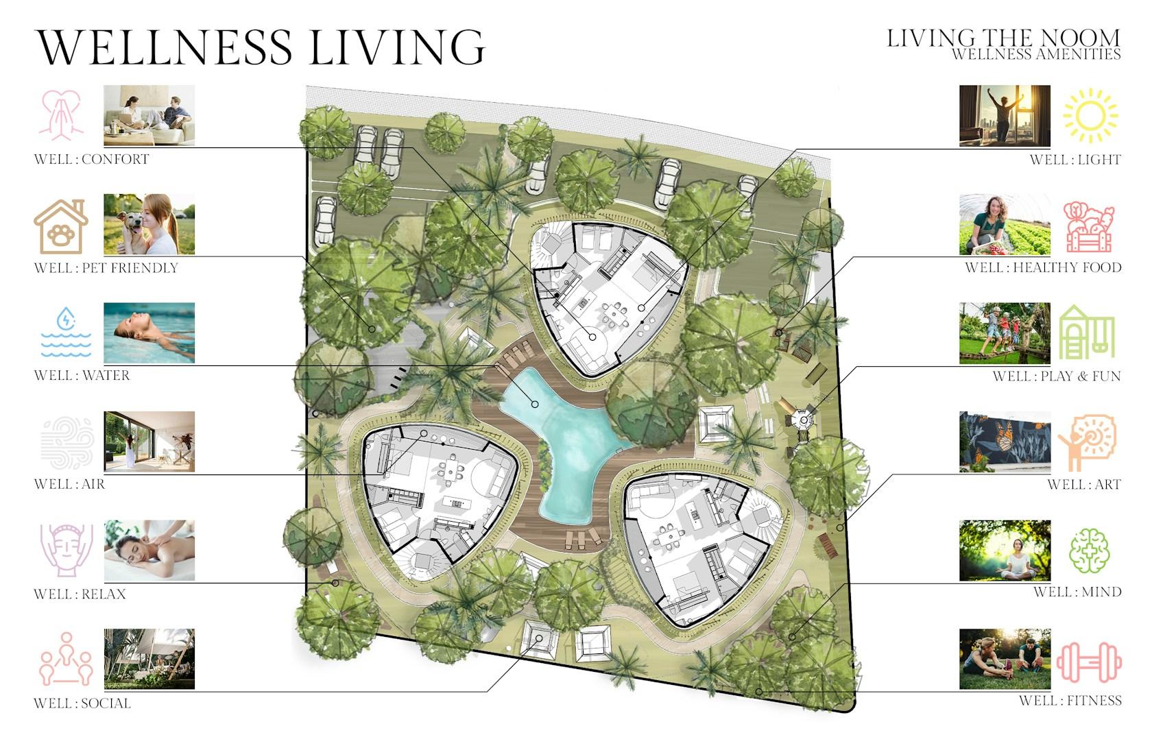 Living The Noom - image 14