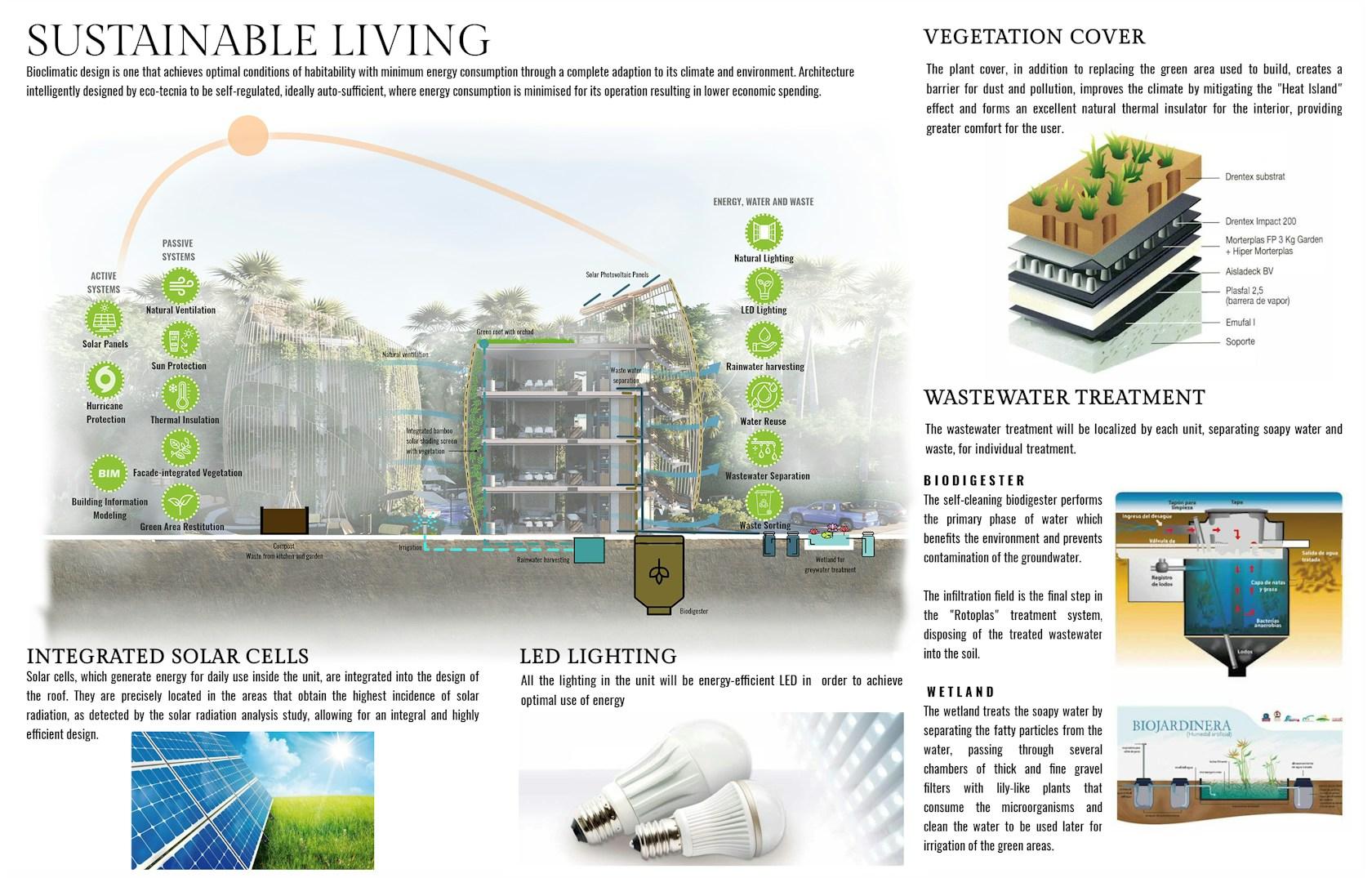 Living The Noom - image 16