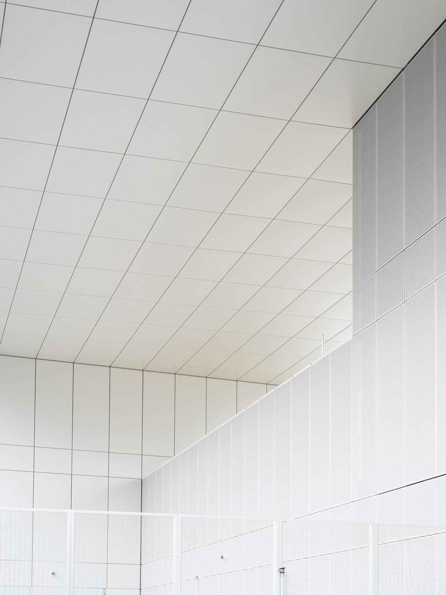 Minimum-Security Prison - image 10
