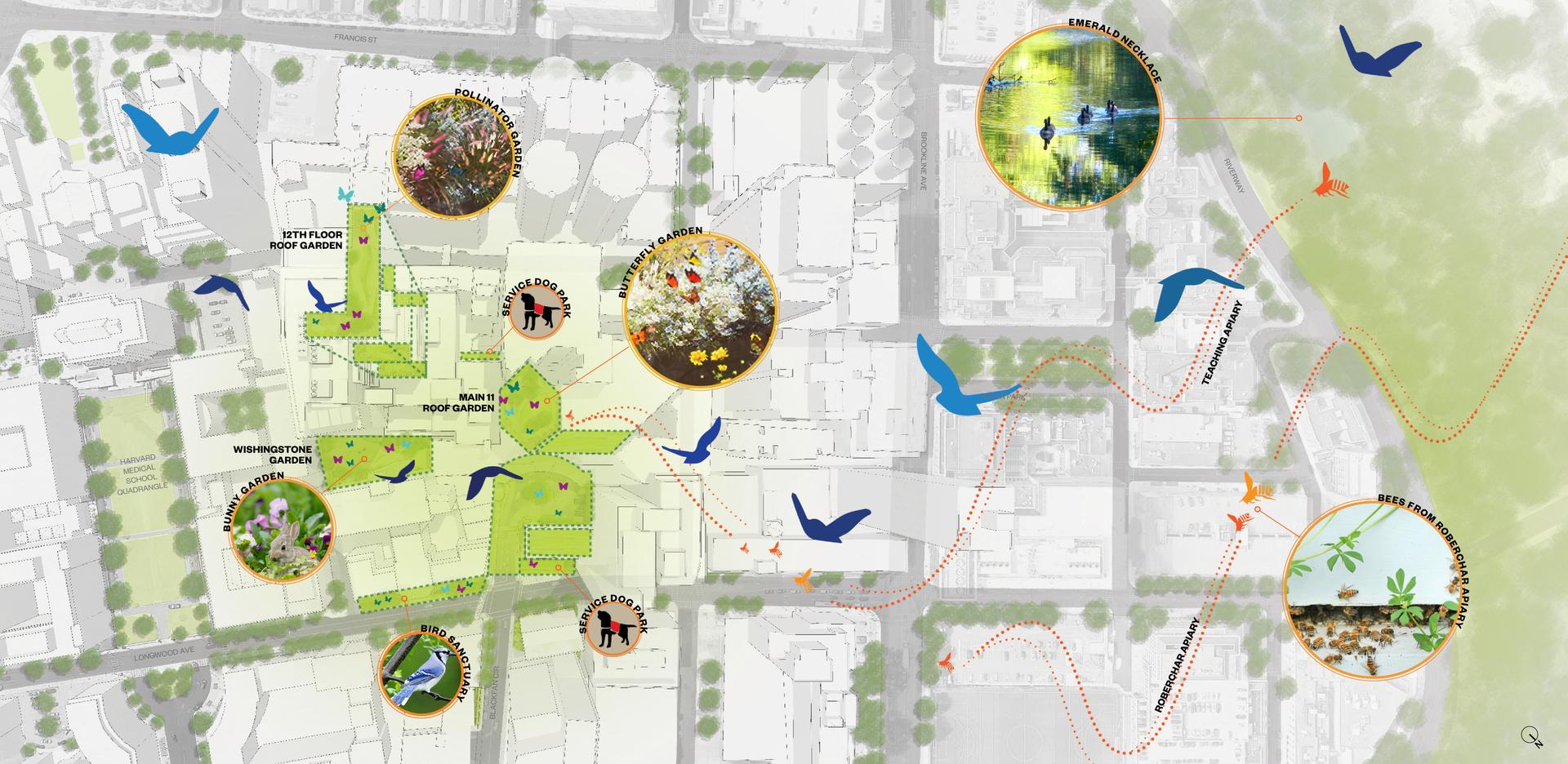Boston Children's Hospital Urban Green Design - image 3
