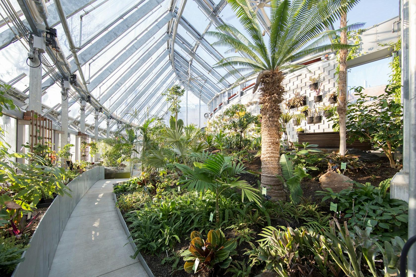 Global Flora Conservatory - image 6