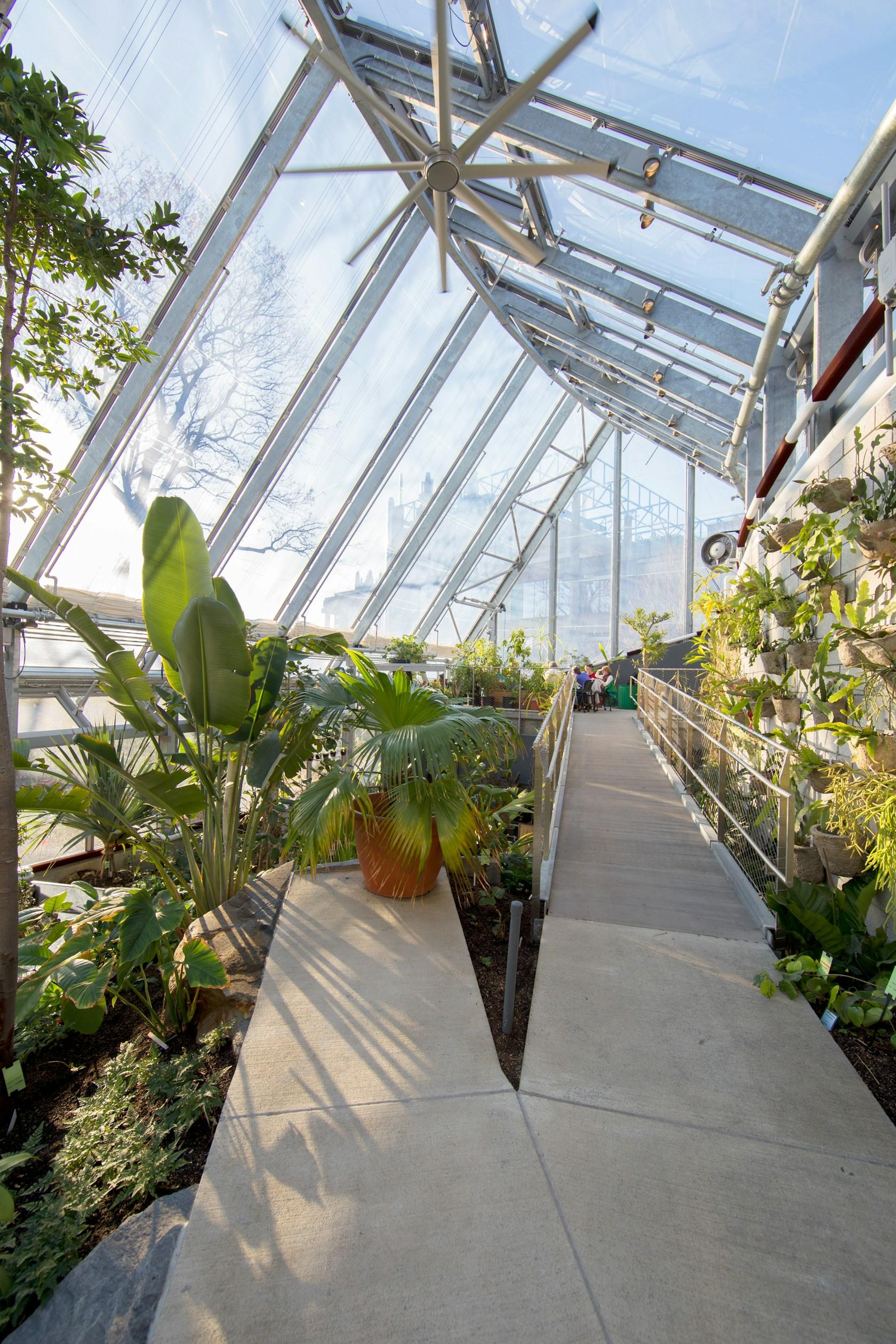 Global Flora Conservatory - image 7