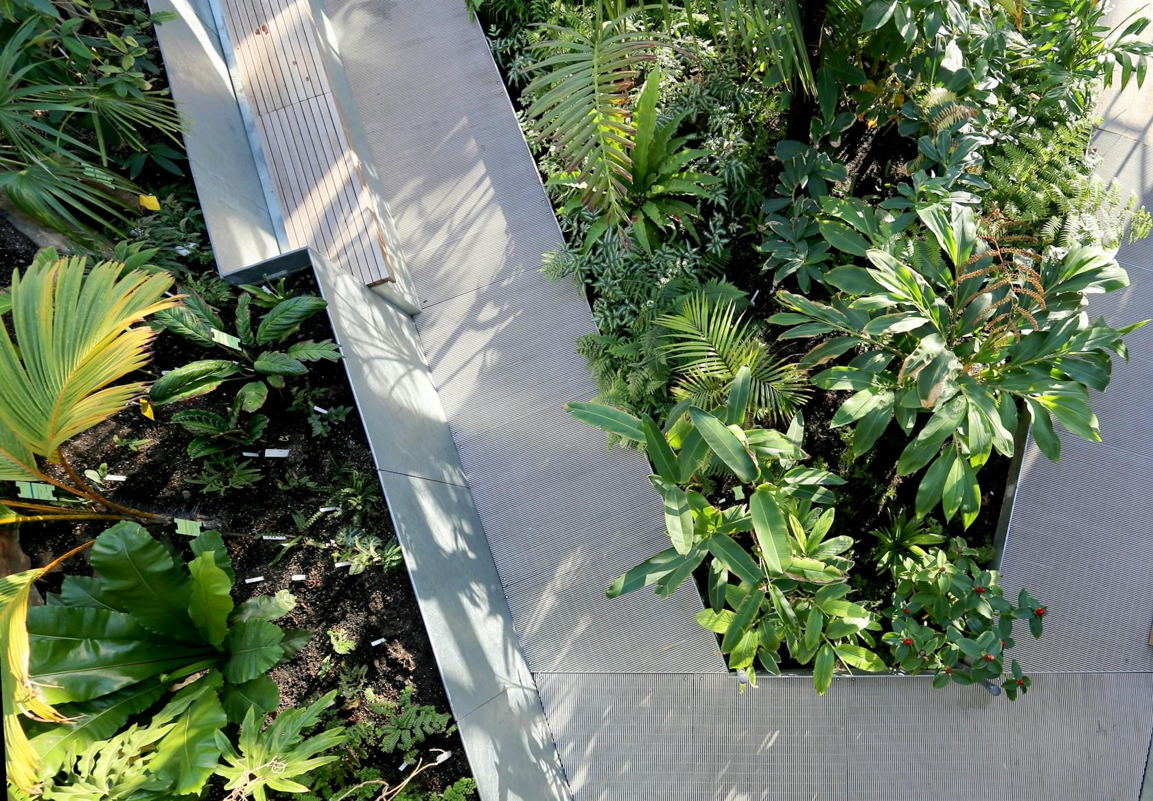Global Flora Conservatory - image 8